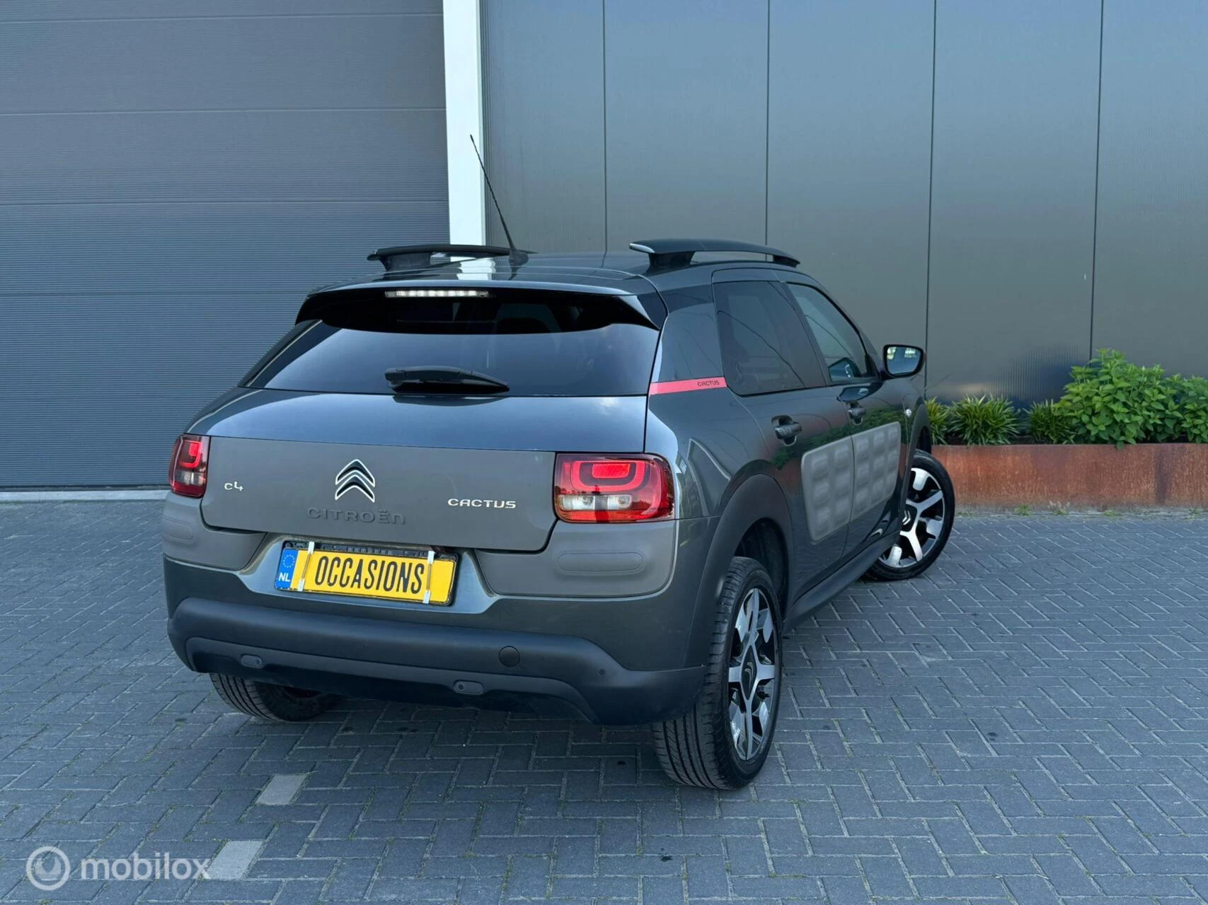 Hoofdafbeelding Citroën C4 Cactus