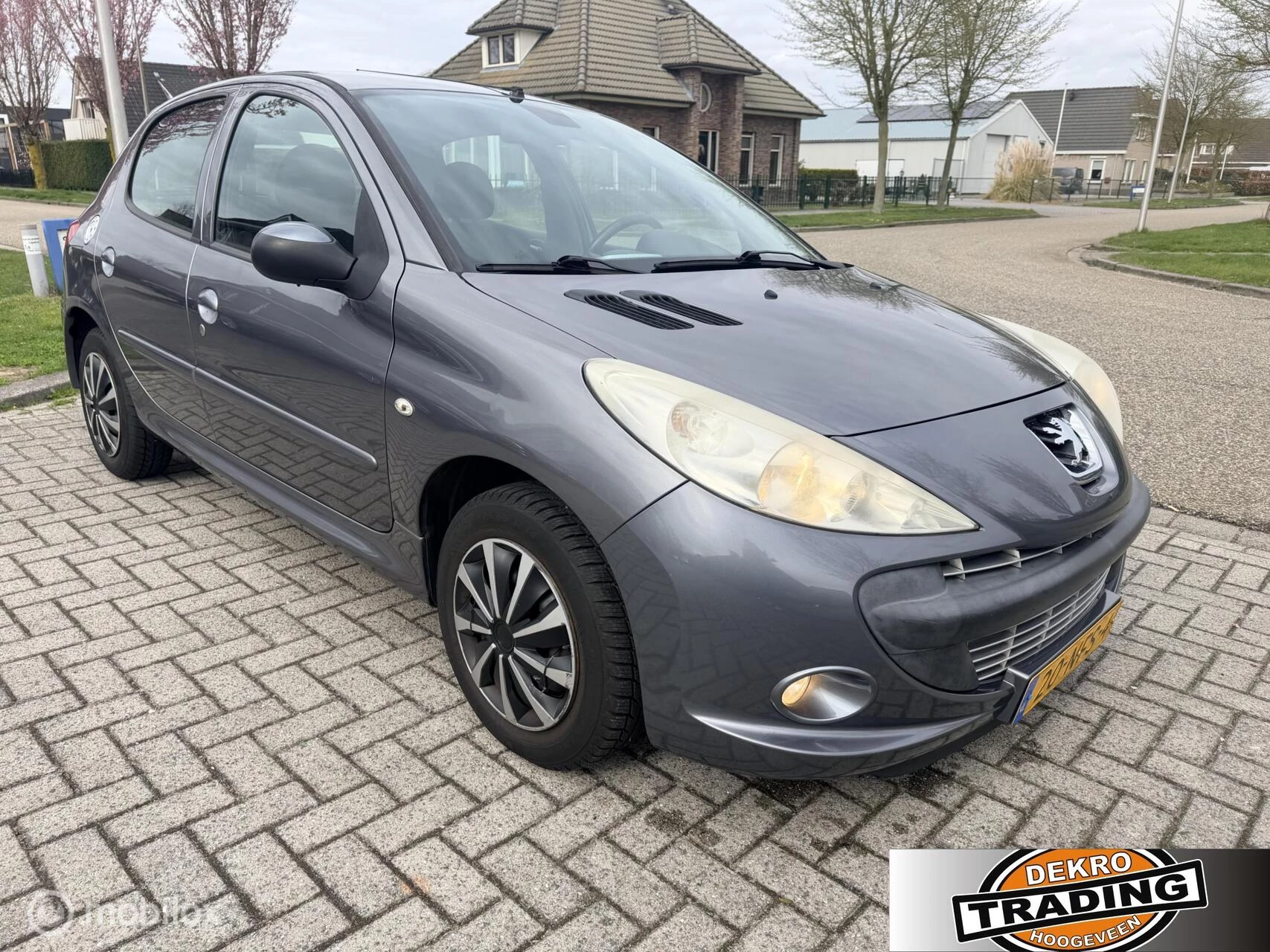 Hoofdafbeelding Peugeot 206