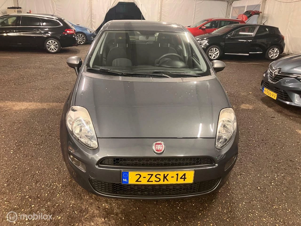 Hoofdafbeelding Fiat Punto