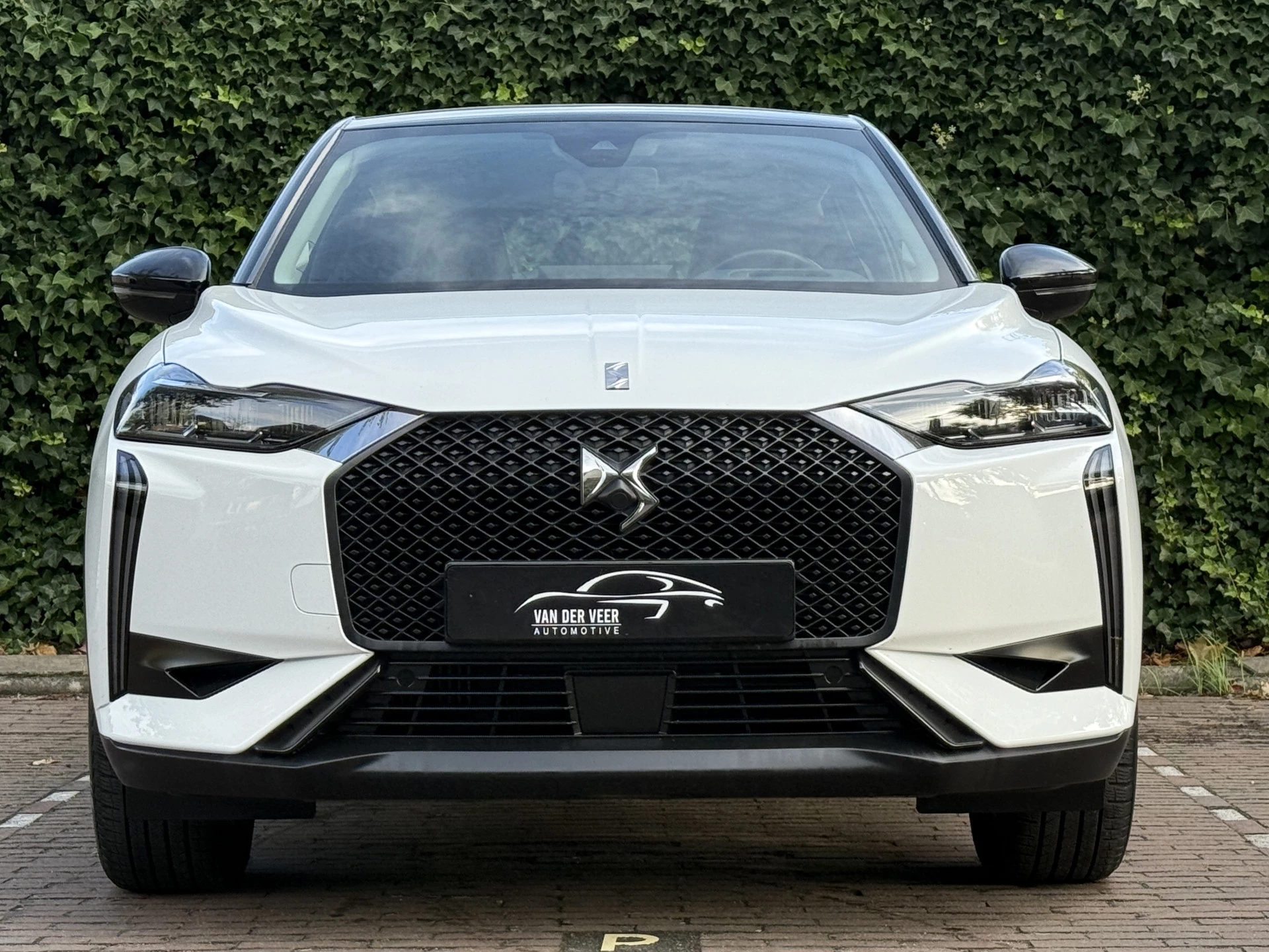 Hoofdafbeelding DS DS 3