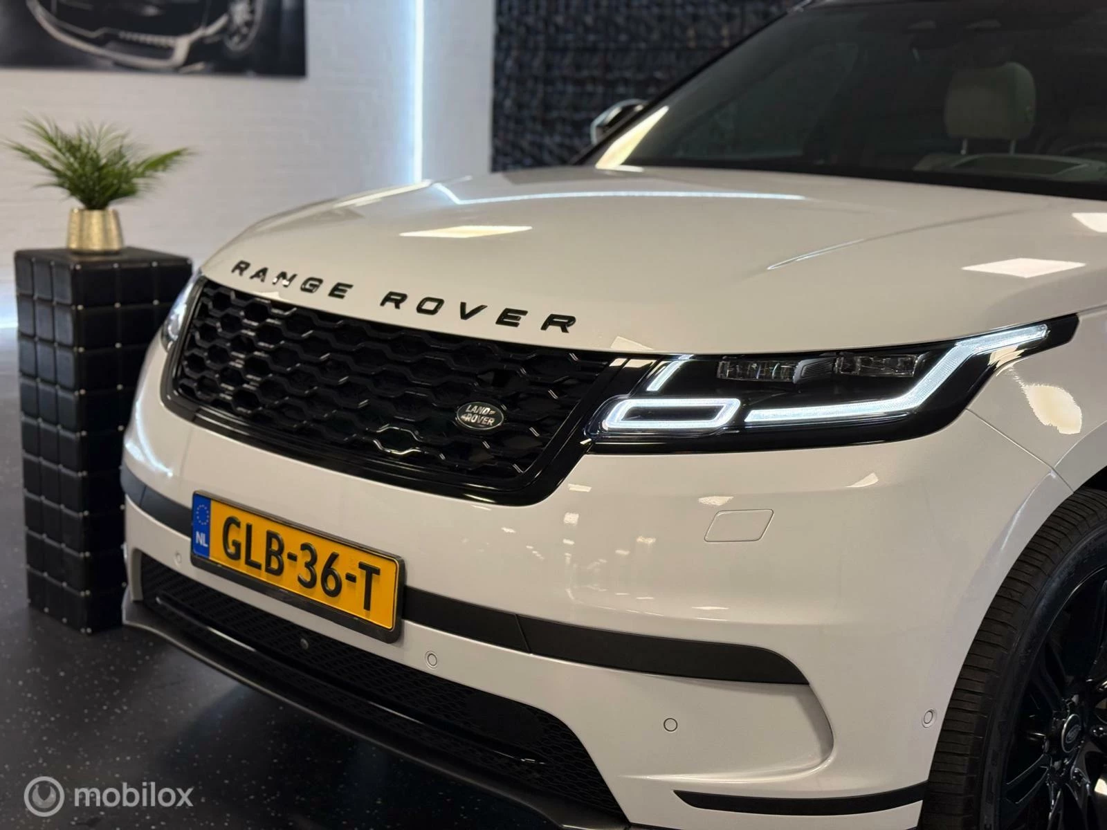 Hoofdafbeelding Land Rover Range Rover Velar