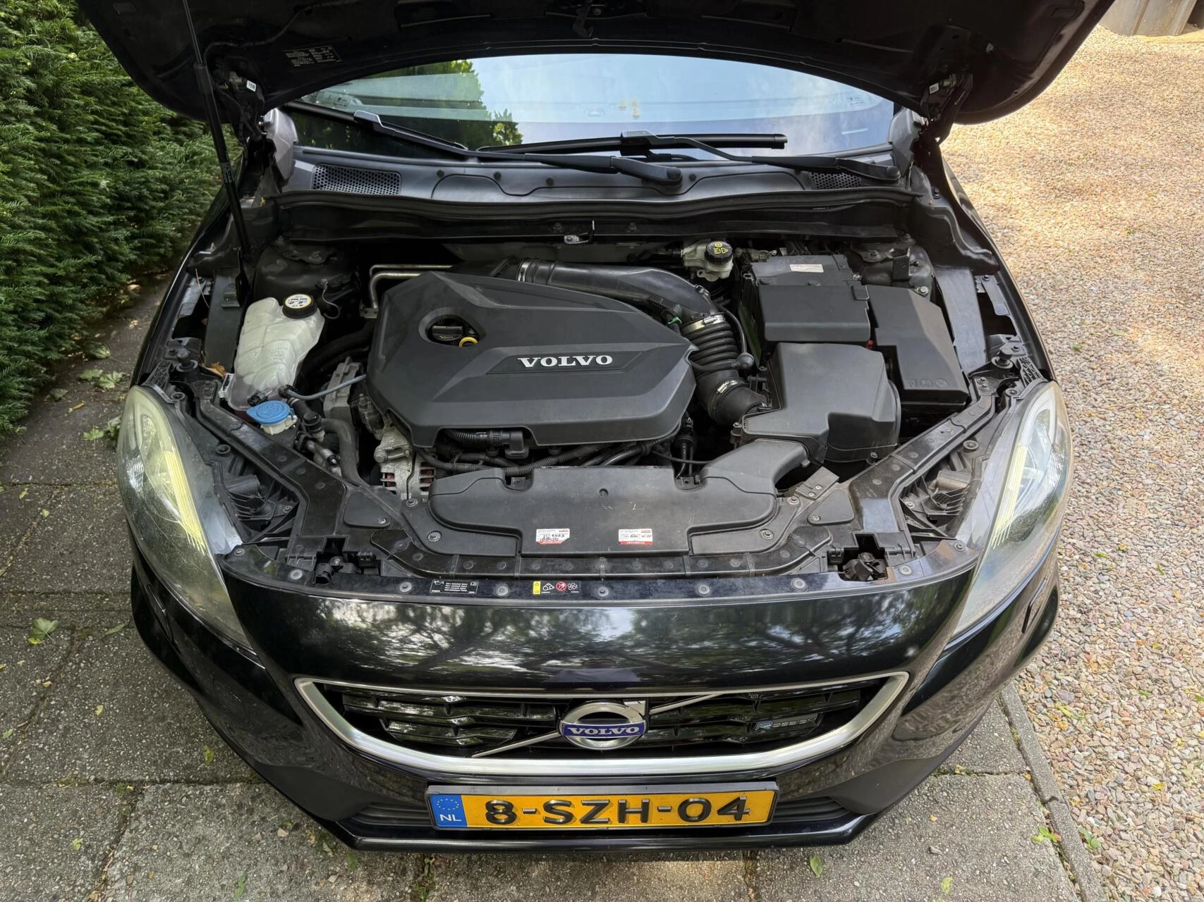 Hoofdafbeelding Volvo V40