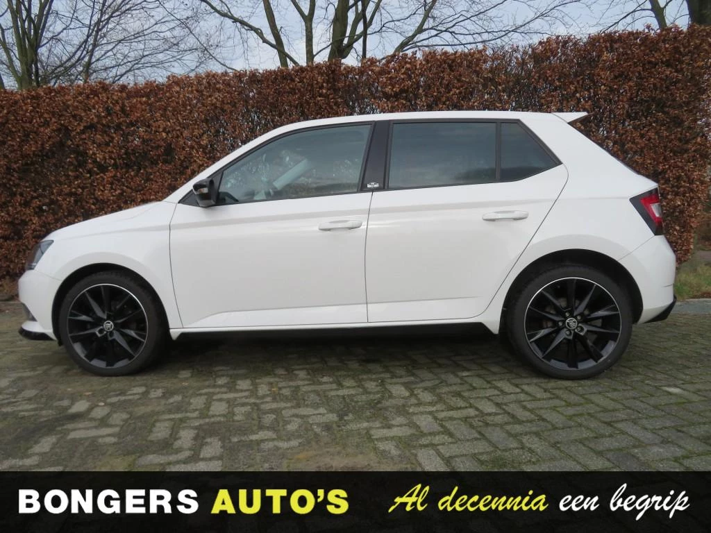 Hoofdafbeelding Škoda Fabia