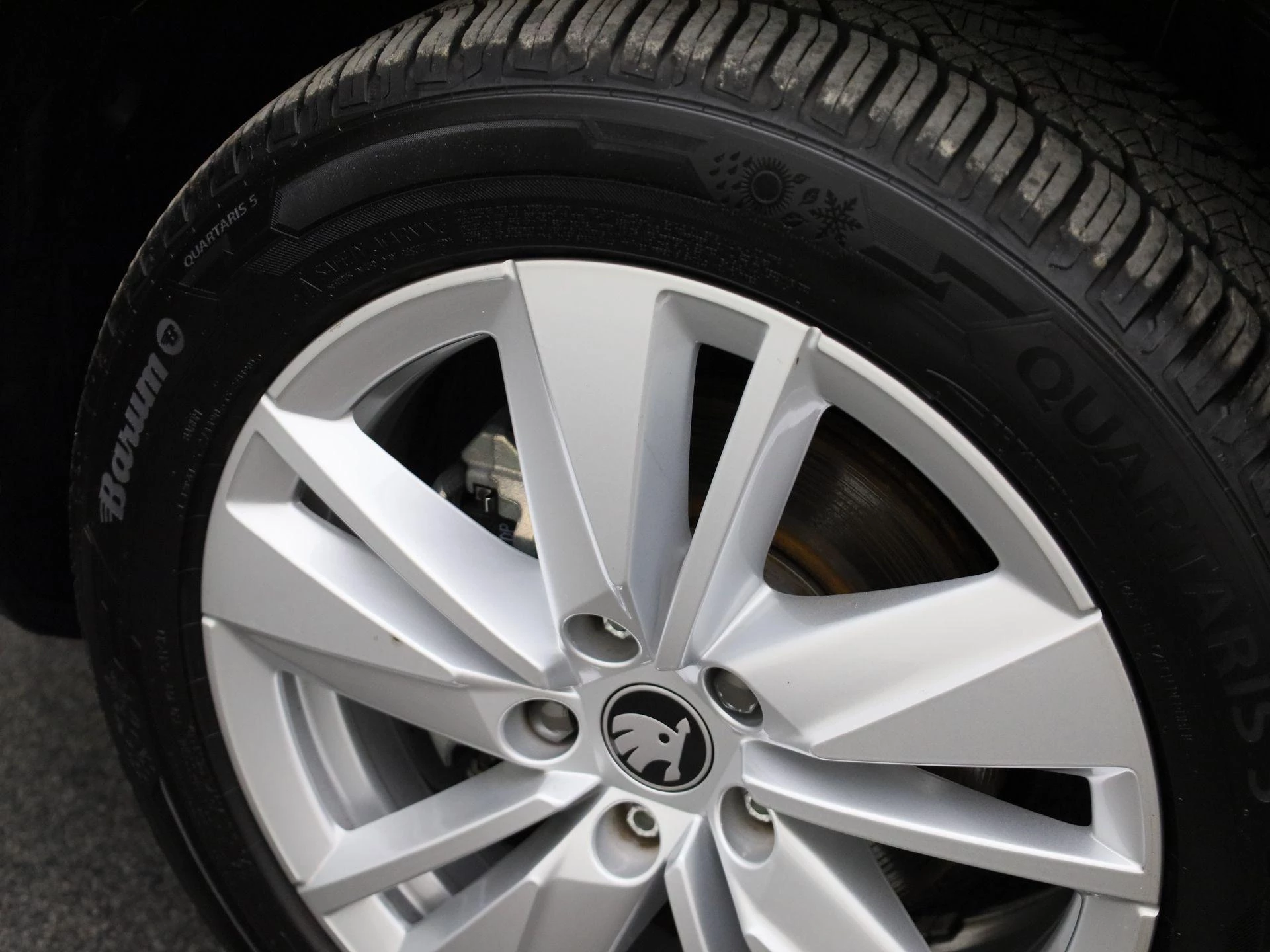 Hoofdafbeelding Škoda Karoq