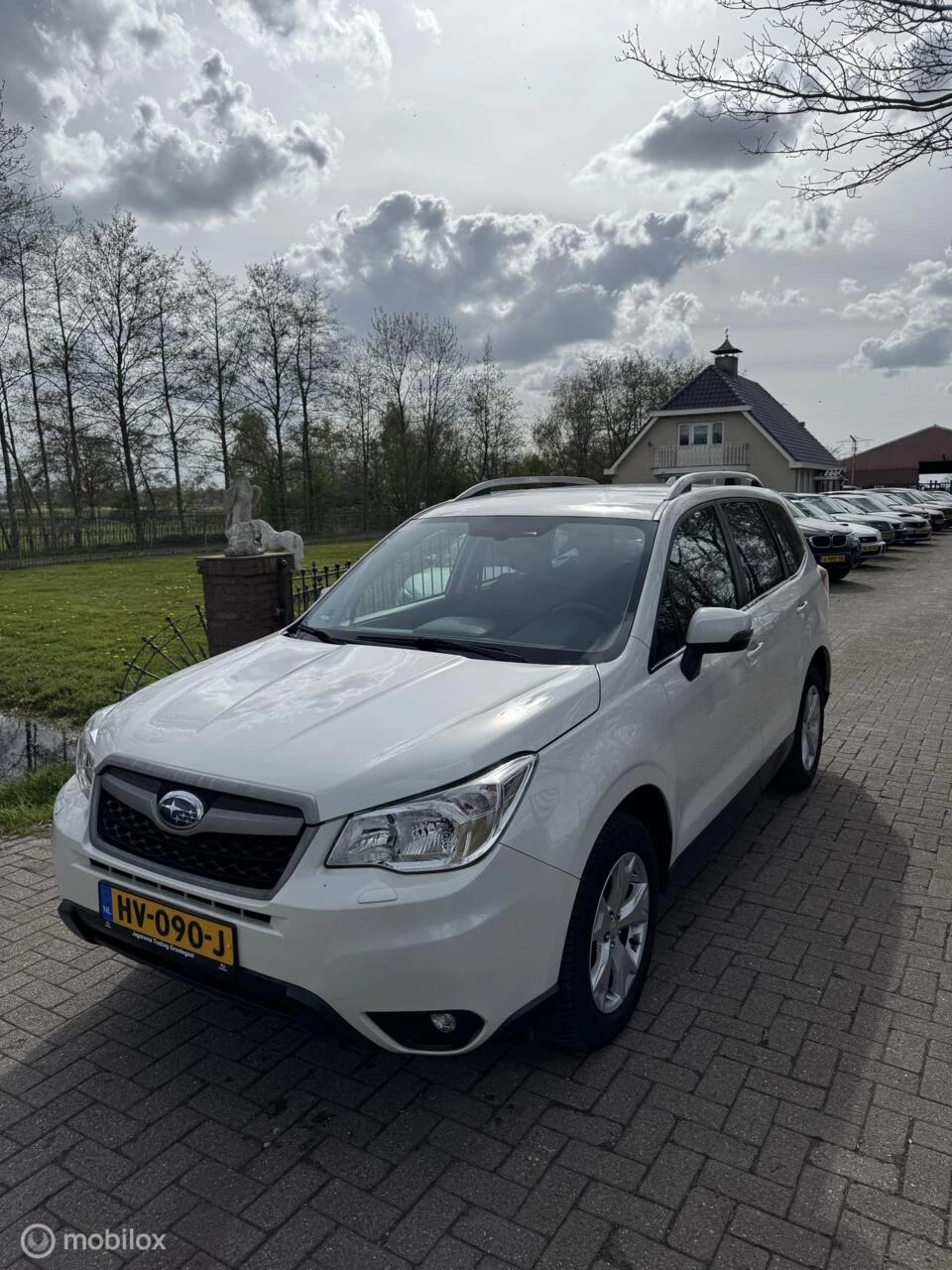 Hoofdafbeelding Subaru Forester