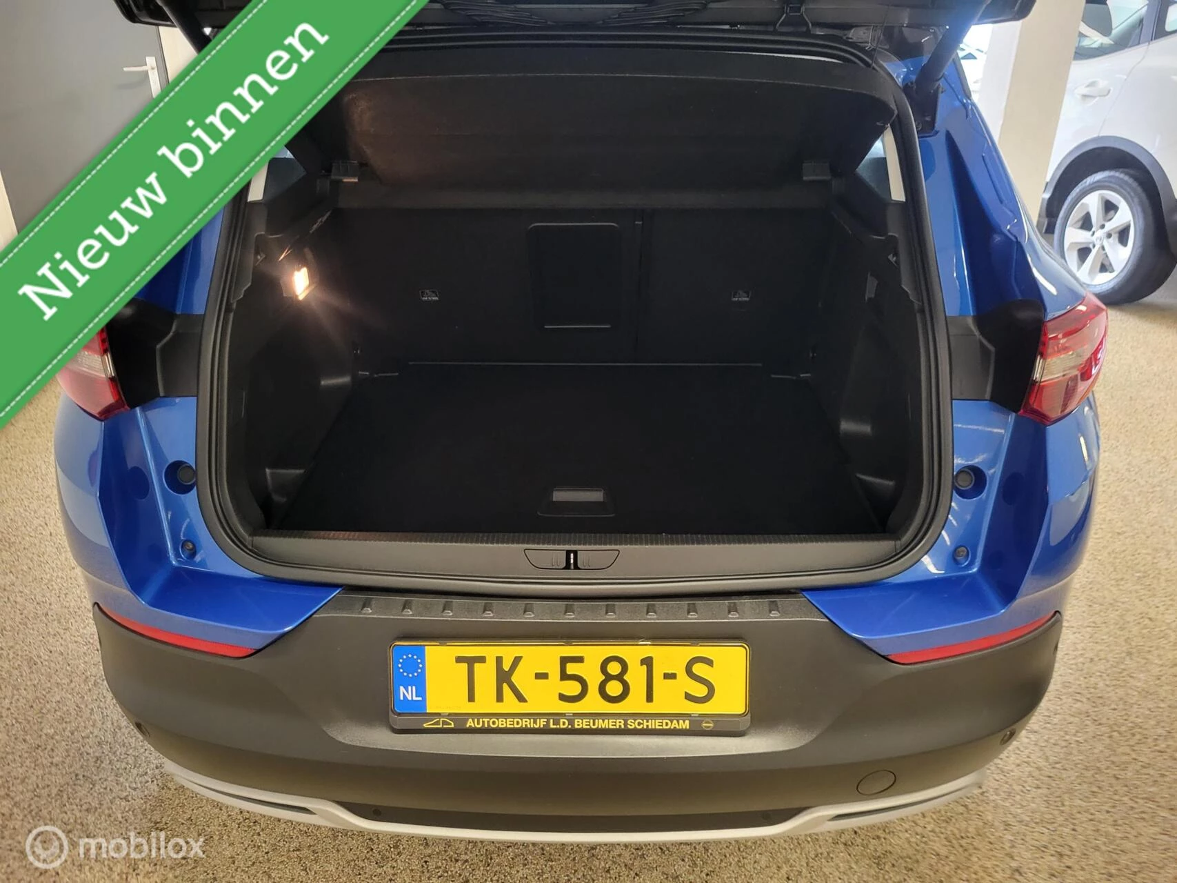 Hoofdafbeelding Opel Grandland X