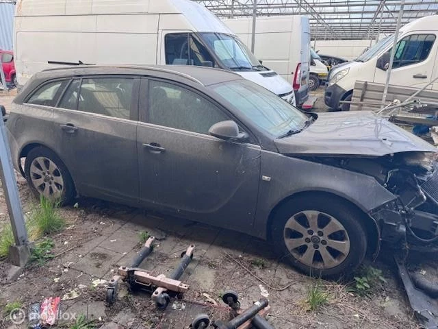 Hoofdafbeelding Opel Insignia