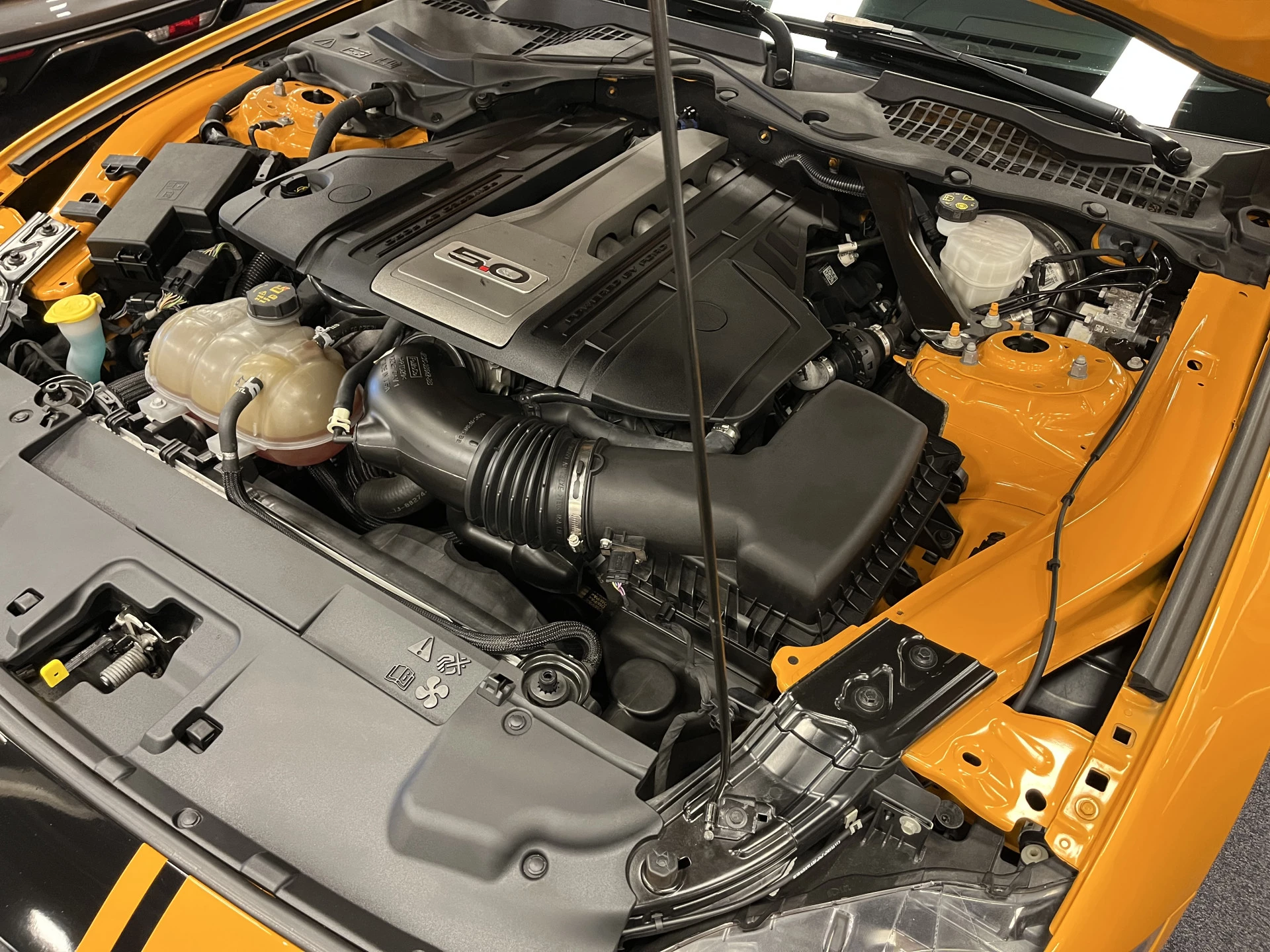 Hoofdafbeelding Ford Mustang