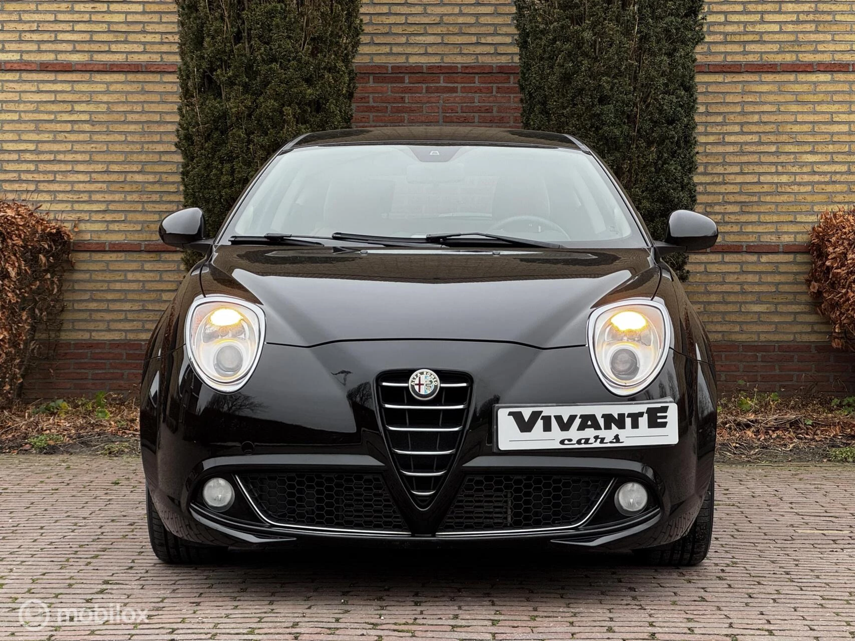 Hoofdafbeelding Alfa Romeo MiTo