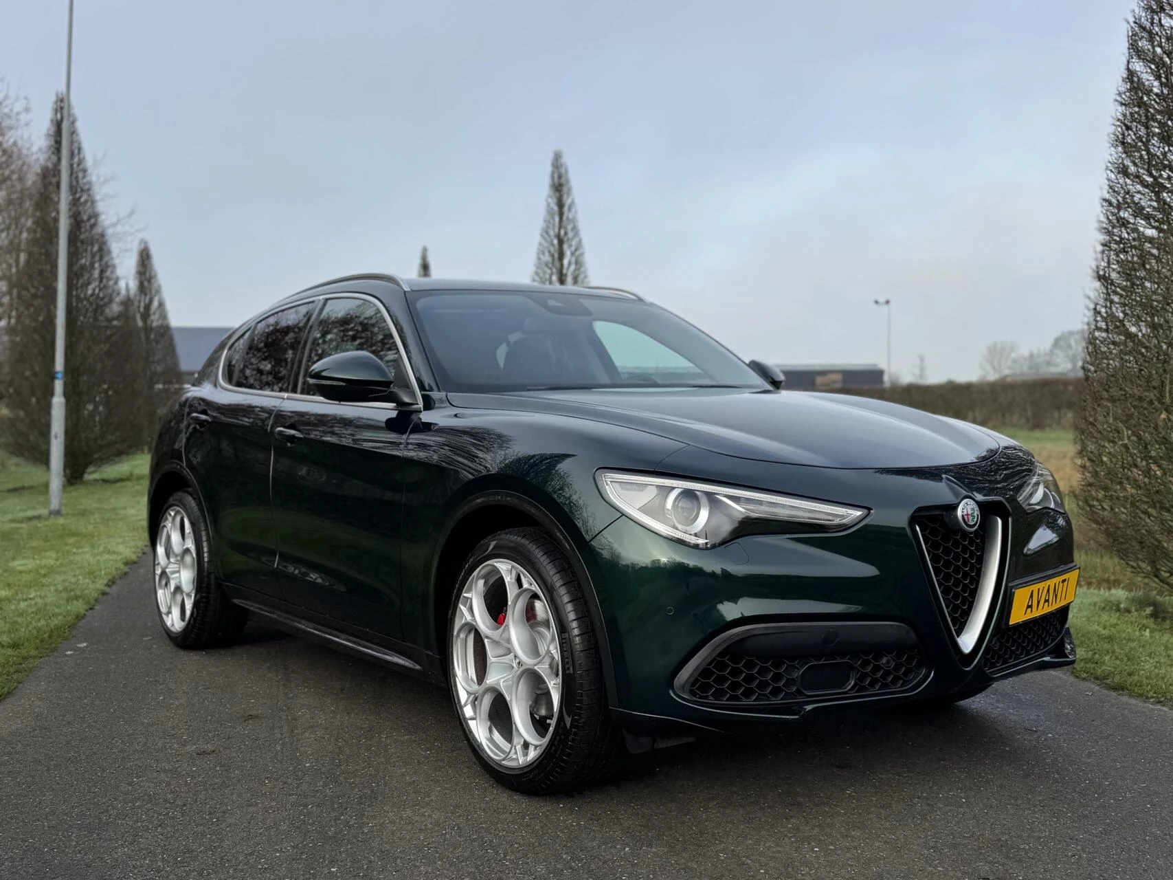 Hoofdafbeelding Alfa Romeo Stelvio