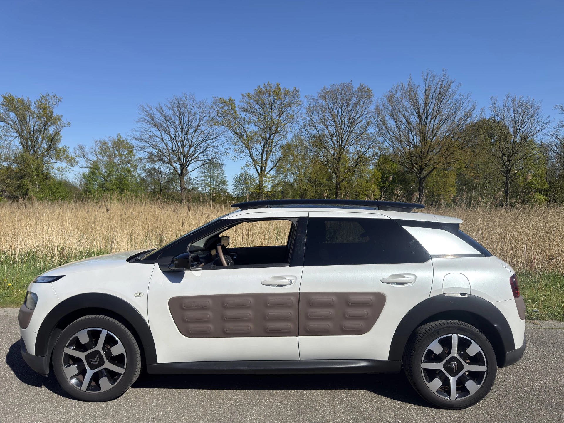 Hoofdafbeelding Citroën C4 Cactus