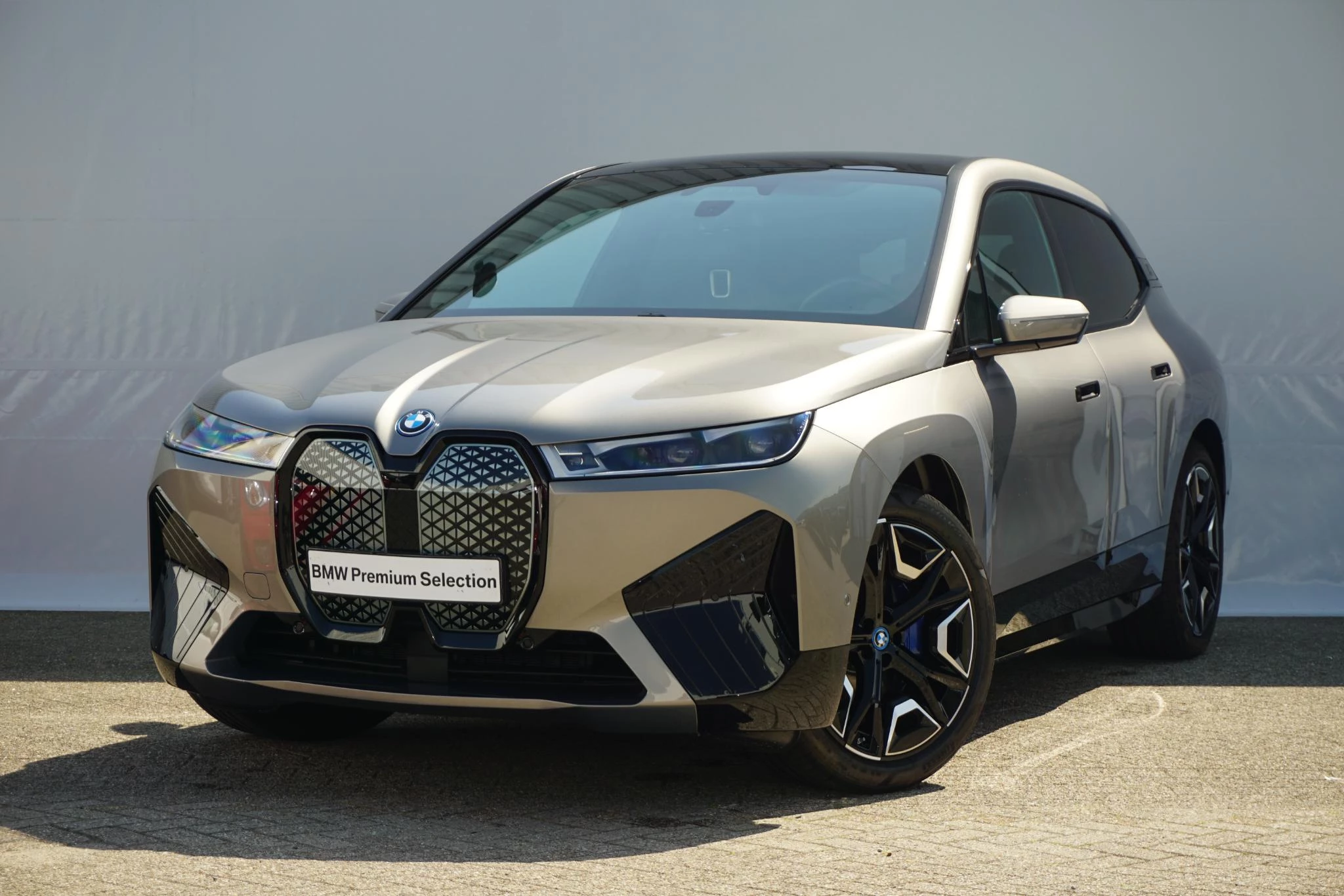 Hoofdafbeelding BMW iX