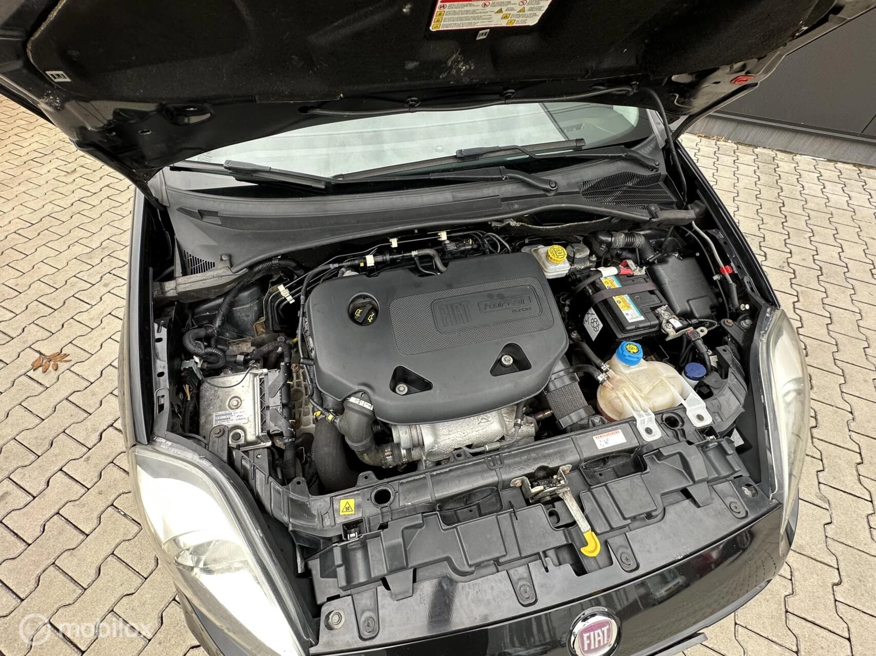 Hoofdafbeelding Fiat Punto