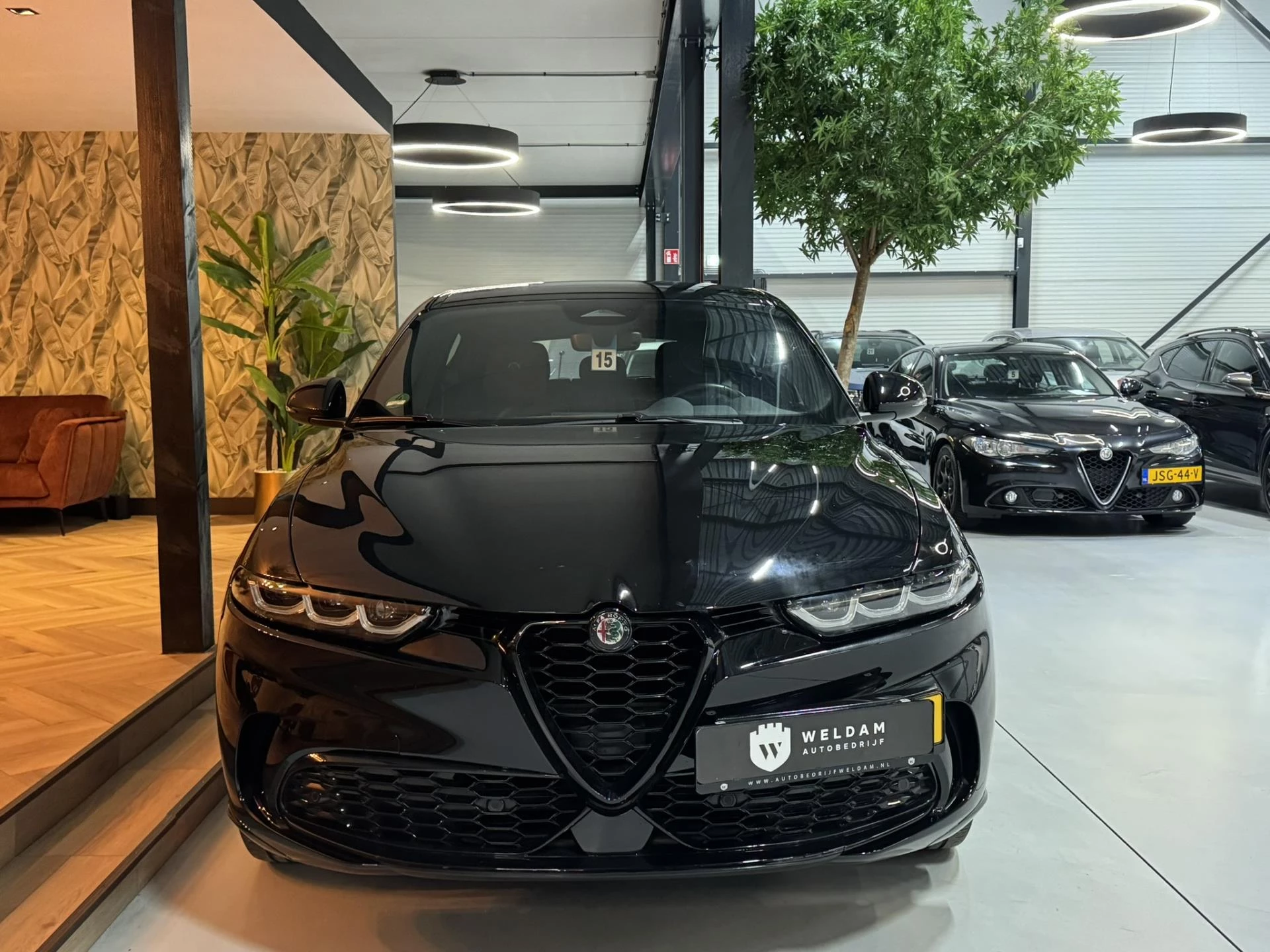 Hoofdafbeelding Alfa Romeo Tonale