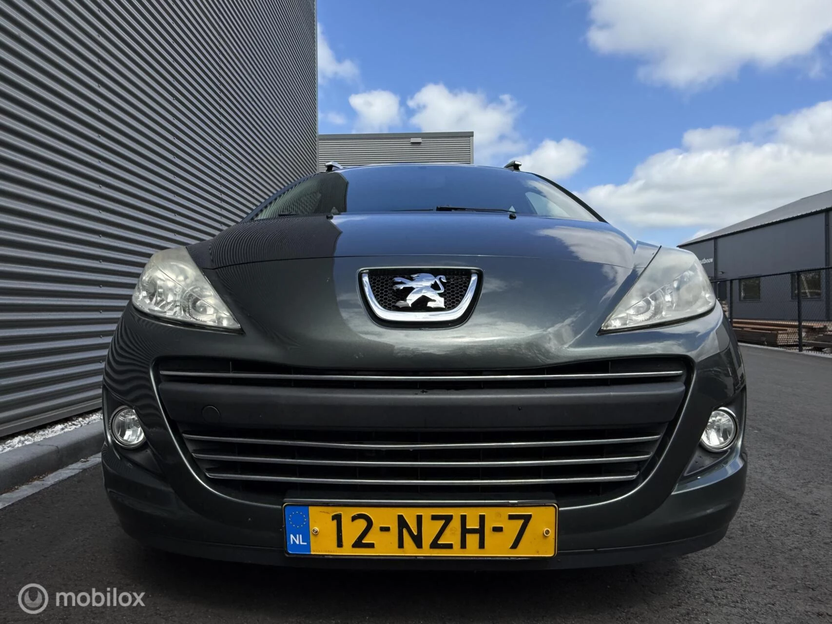 Hoofdafbeelding Peugeot 207