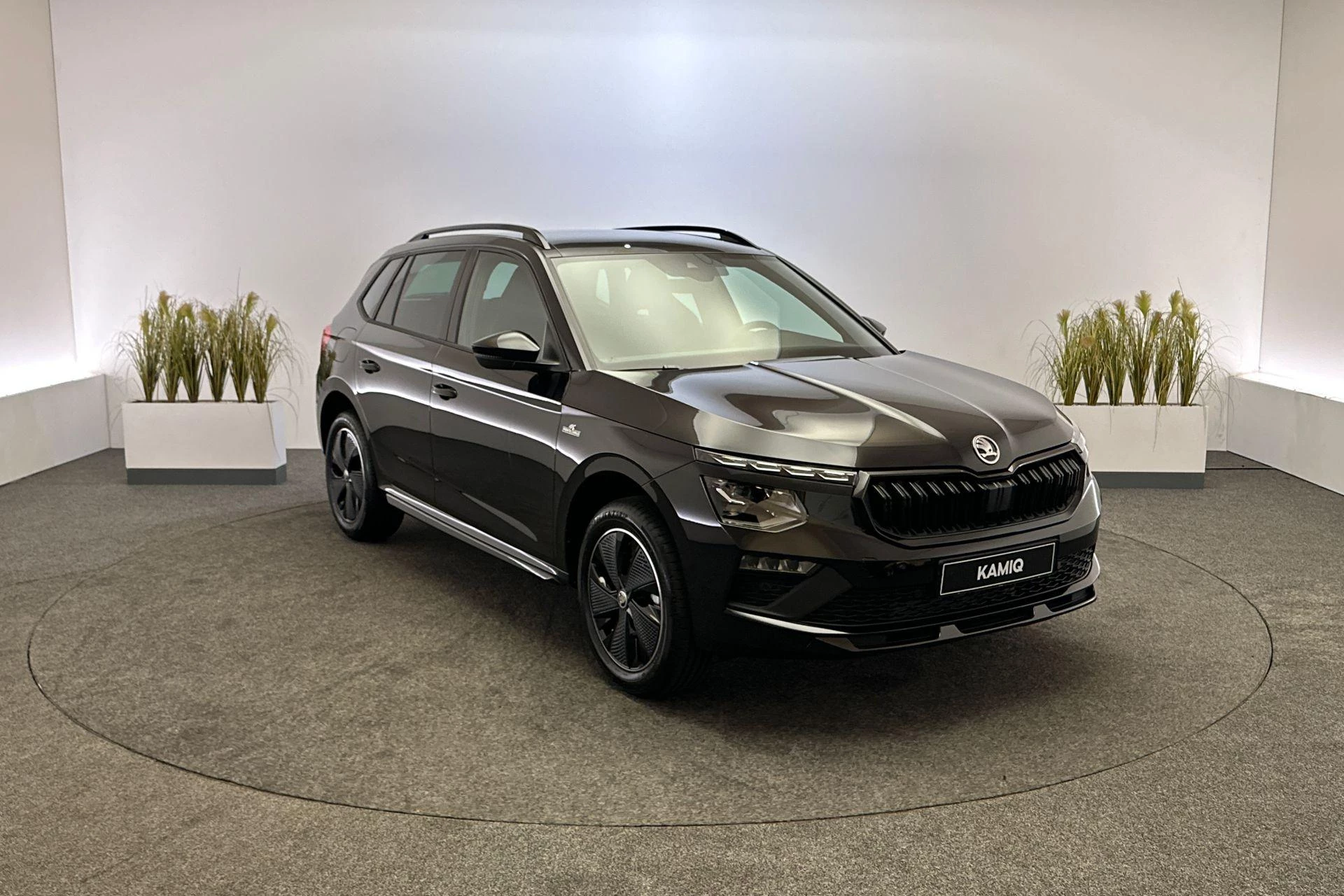Hoofdafbeelding Škoda Kamiq