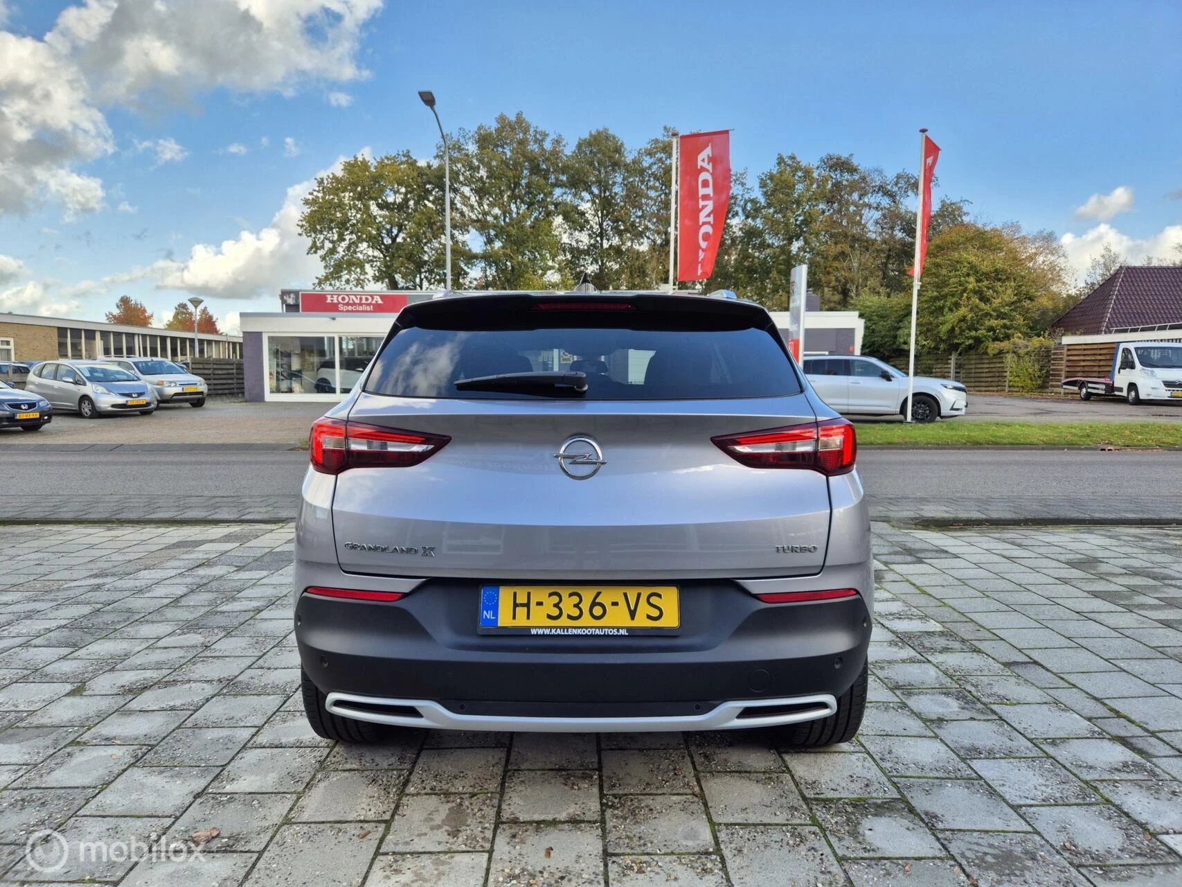 Hoofdafbeelding Opel Grandland X