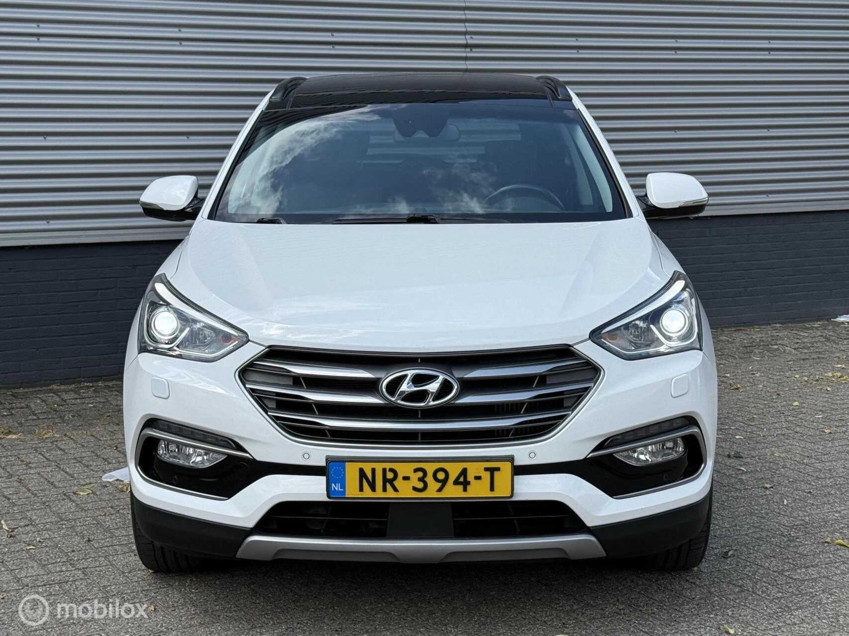 Hoofdafbeelding Hyundai Santa Fe