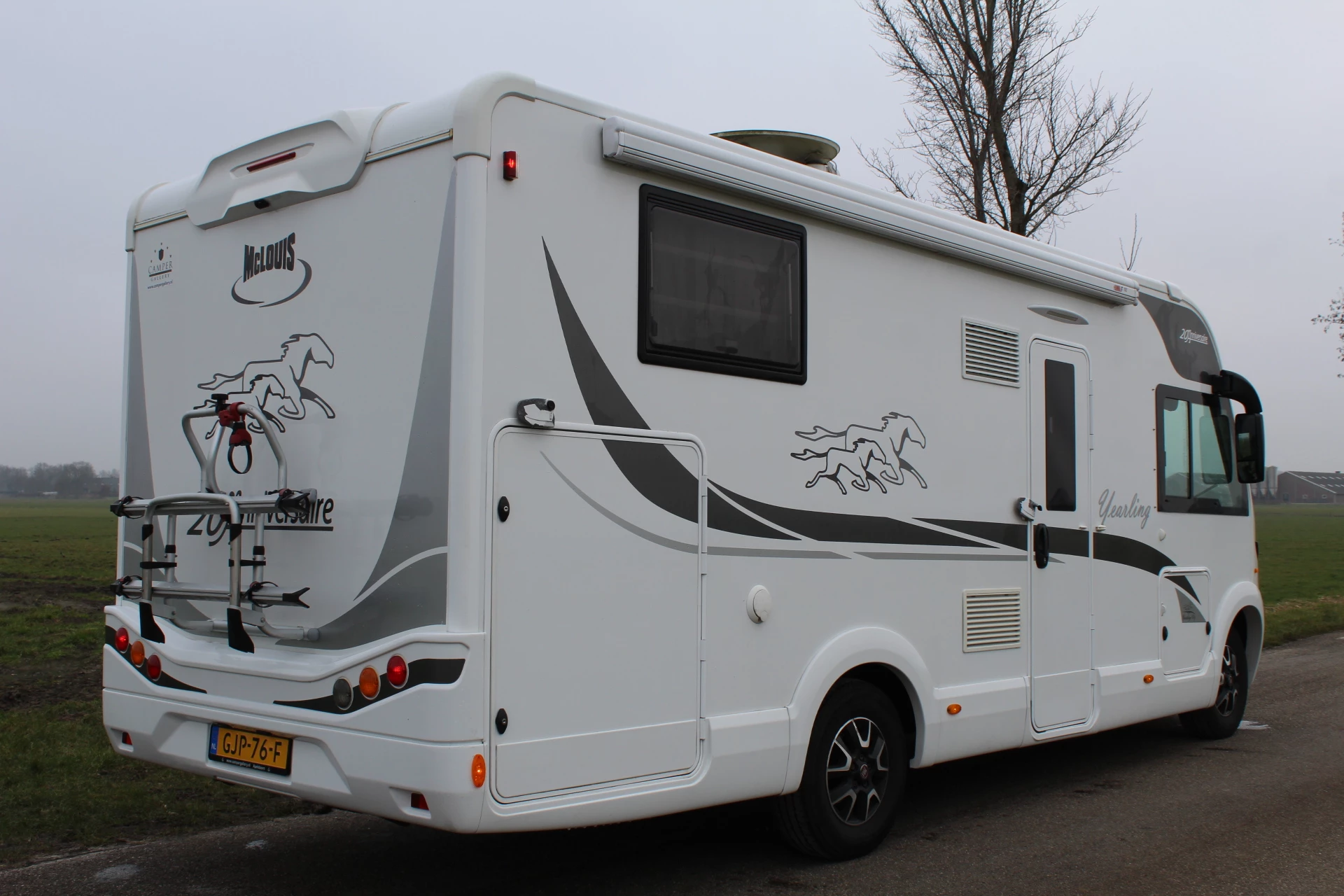 Hoofdafbeelding McLouis YEARLING