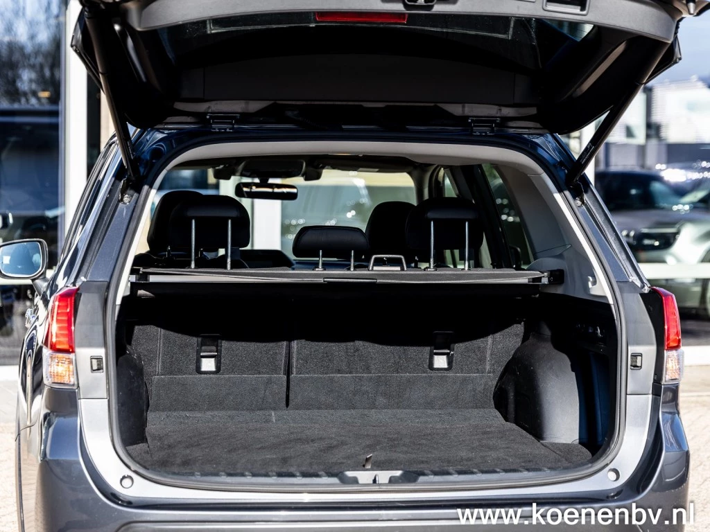 Hoofdafbeelding Subaru Forester