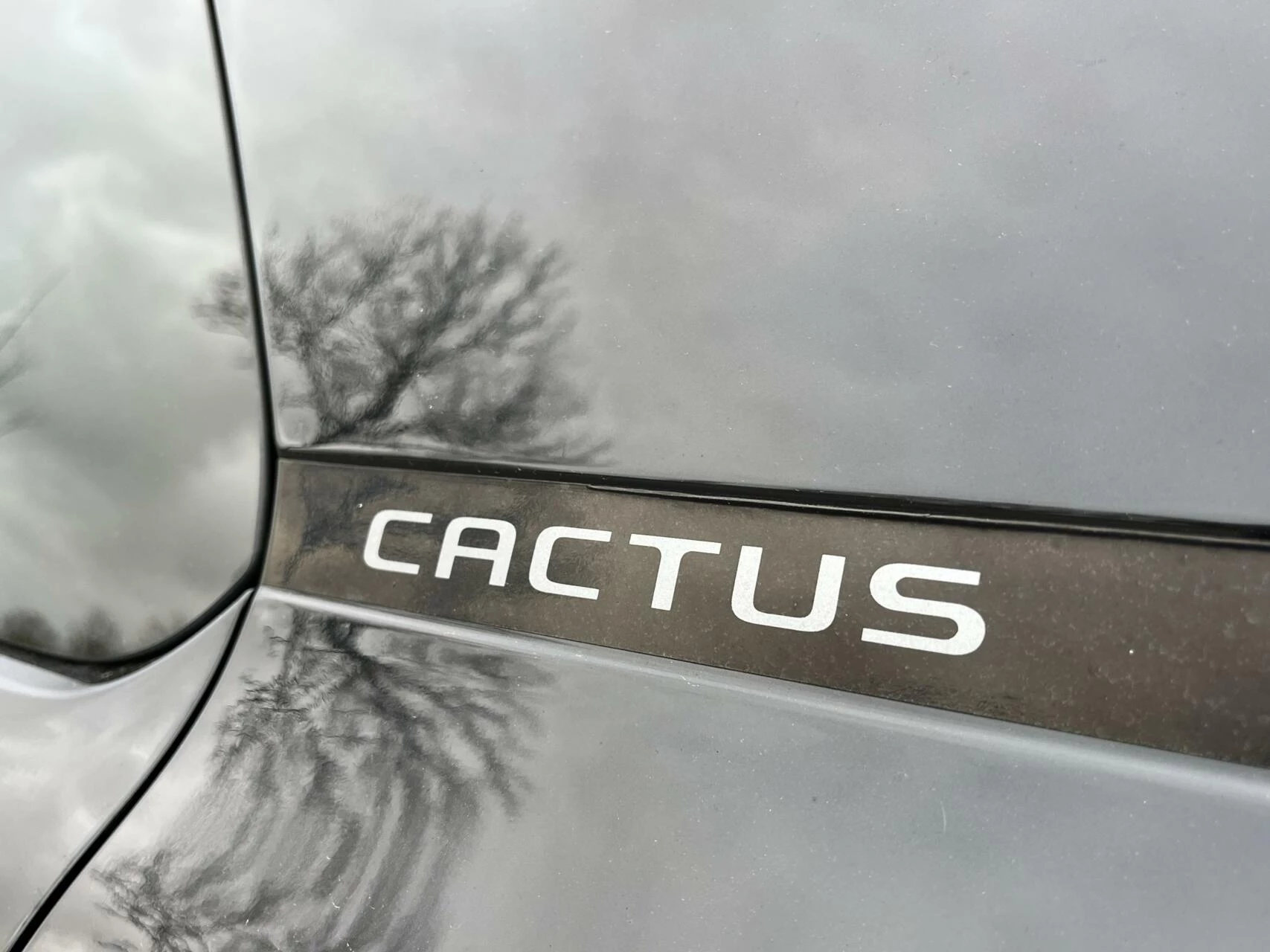 Hoofdafbeelding Citroën C4 Cactus