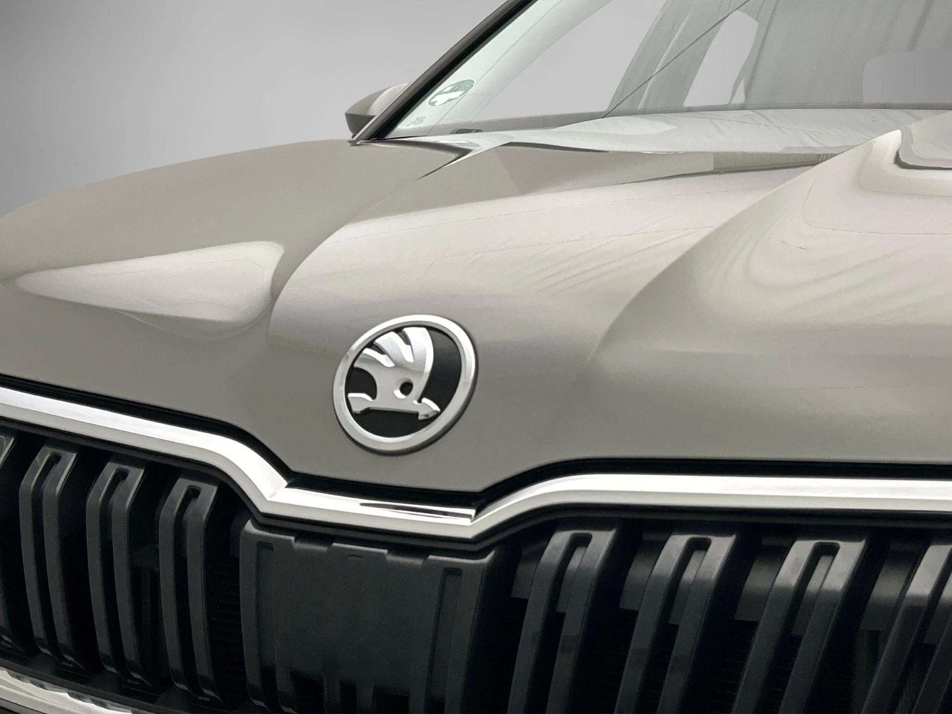 Hoofdafbeelding Škoda Kamiq
