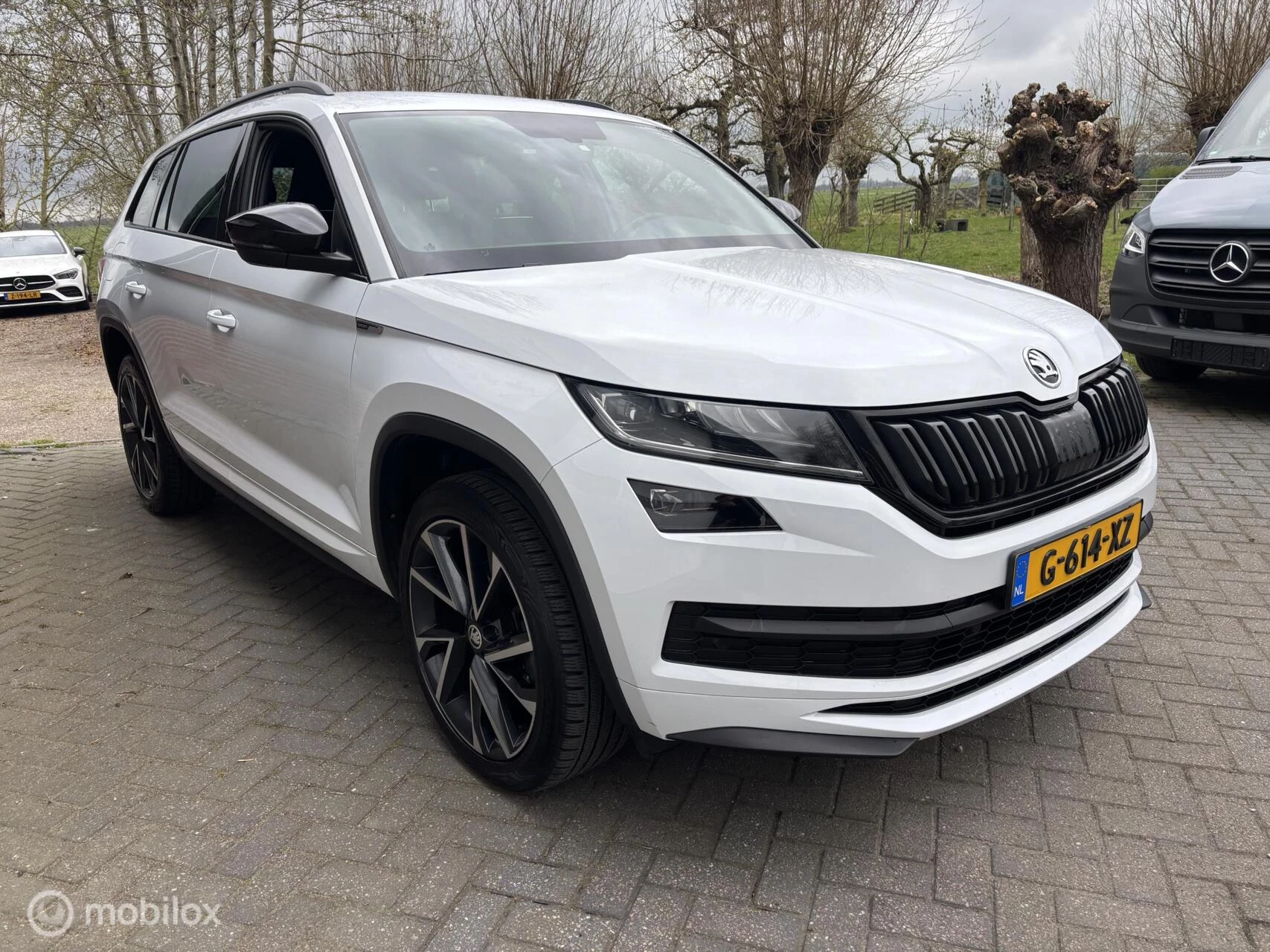 Hoofdafbeelding Škoda Kodiaq