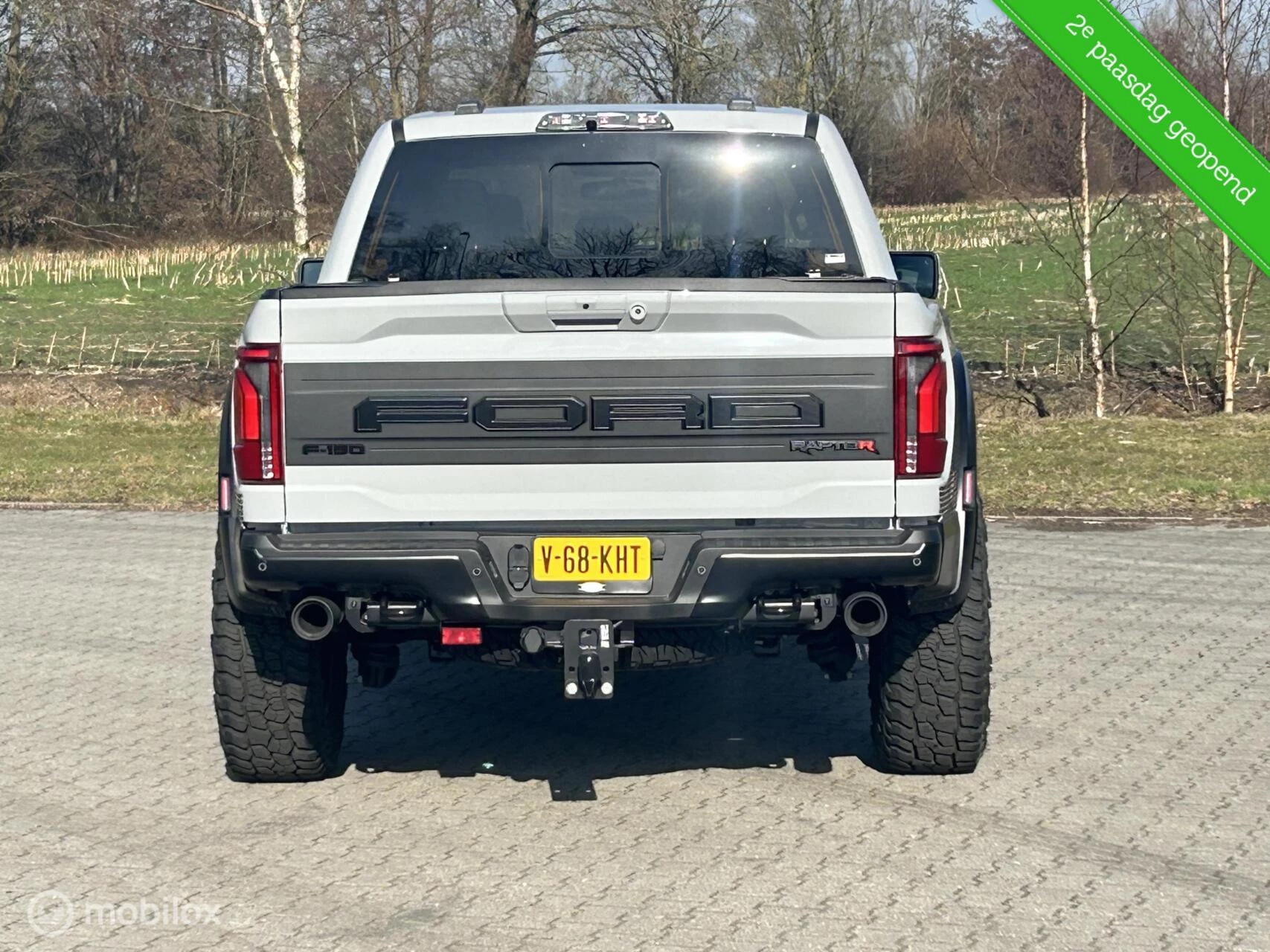 Hoofdafbeelding Ford F-150