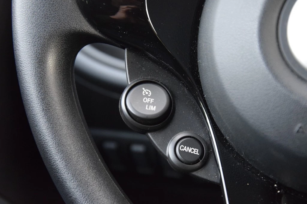 Hoofdafbeelding Smart Forfour