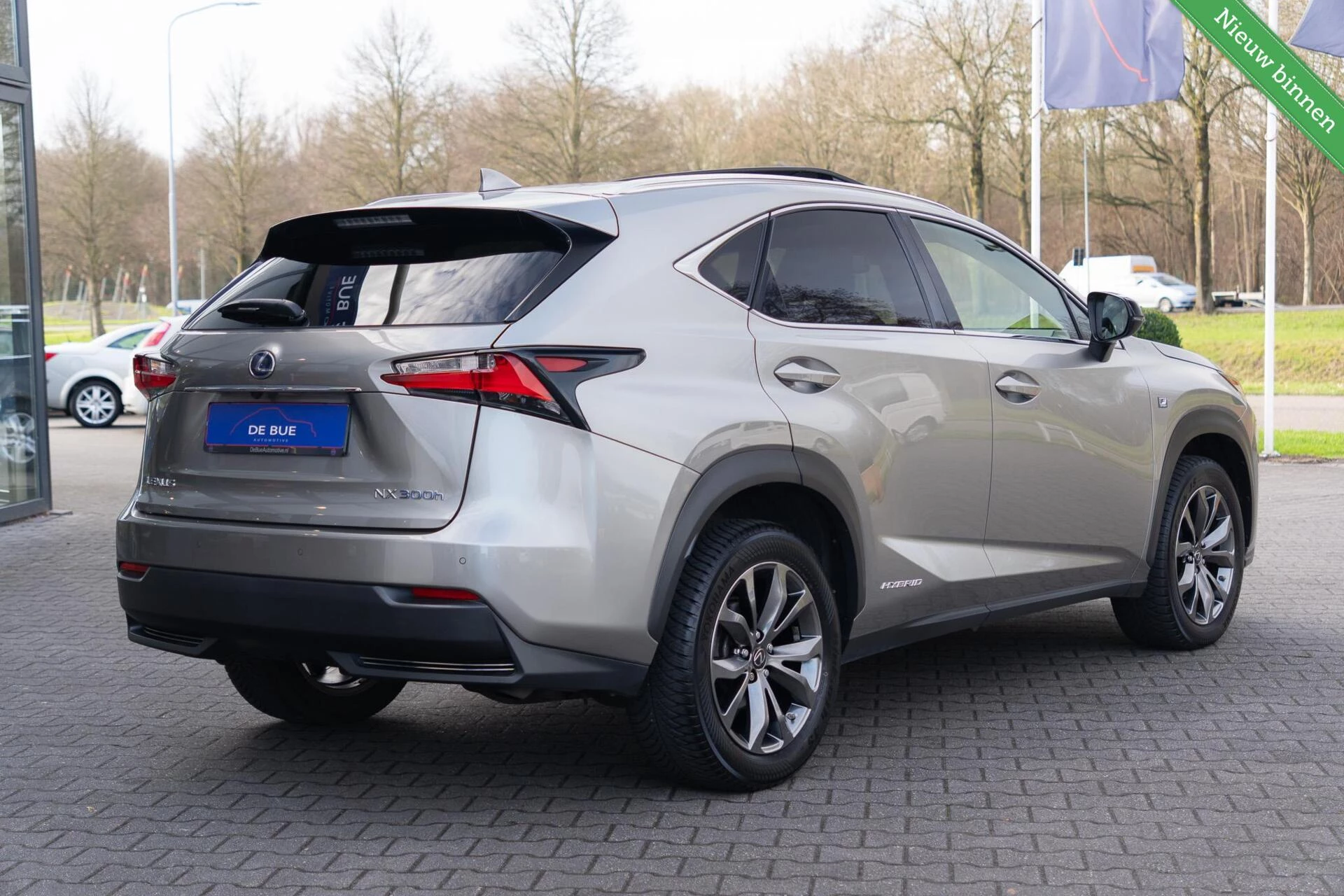 Hoofdafbeelding Lexus NX
