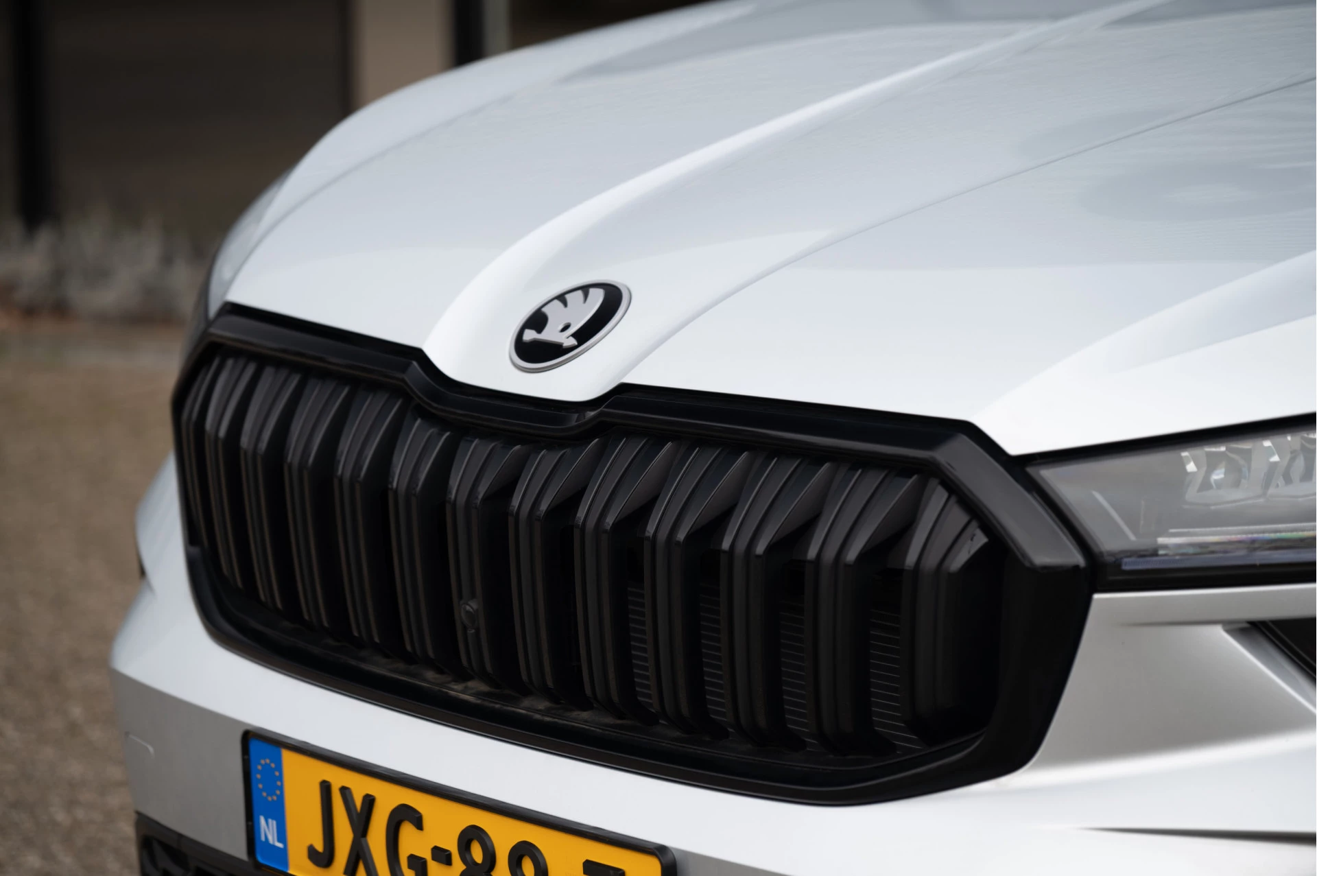 Hoofdafbeelding Škoda Kodiaq