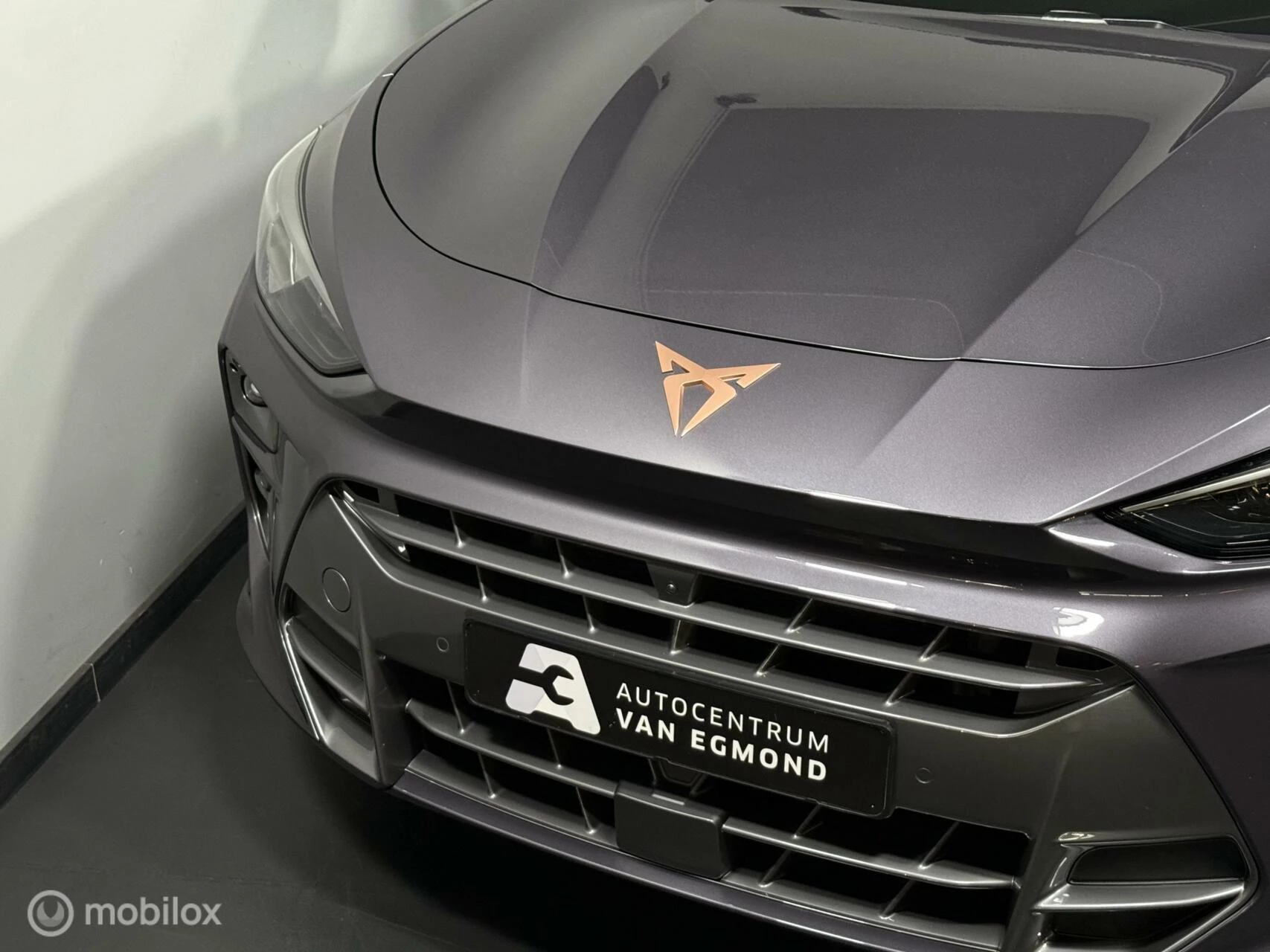 Hoofdafbeelding CUPRA Terramar
