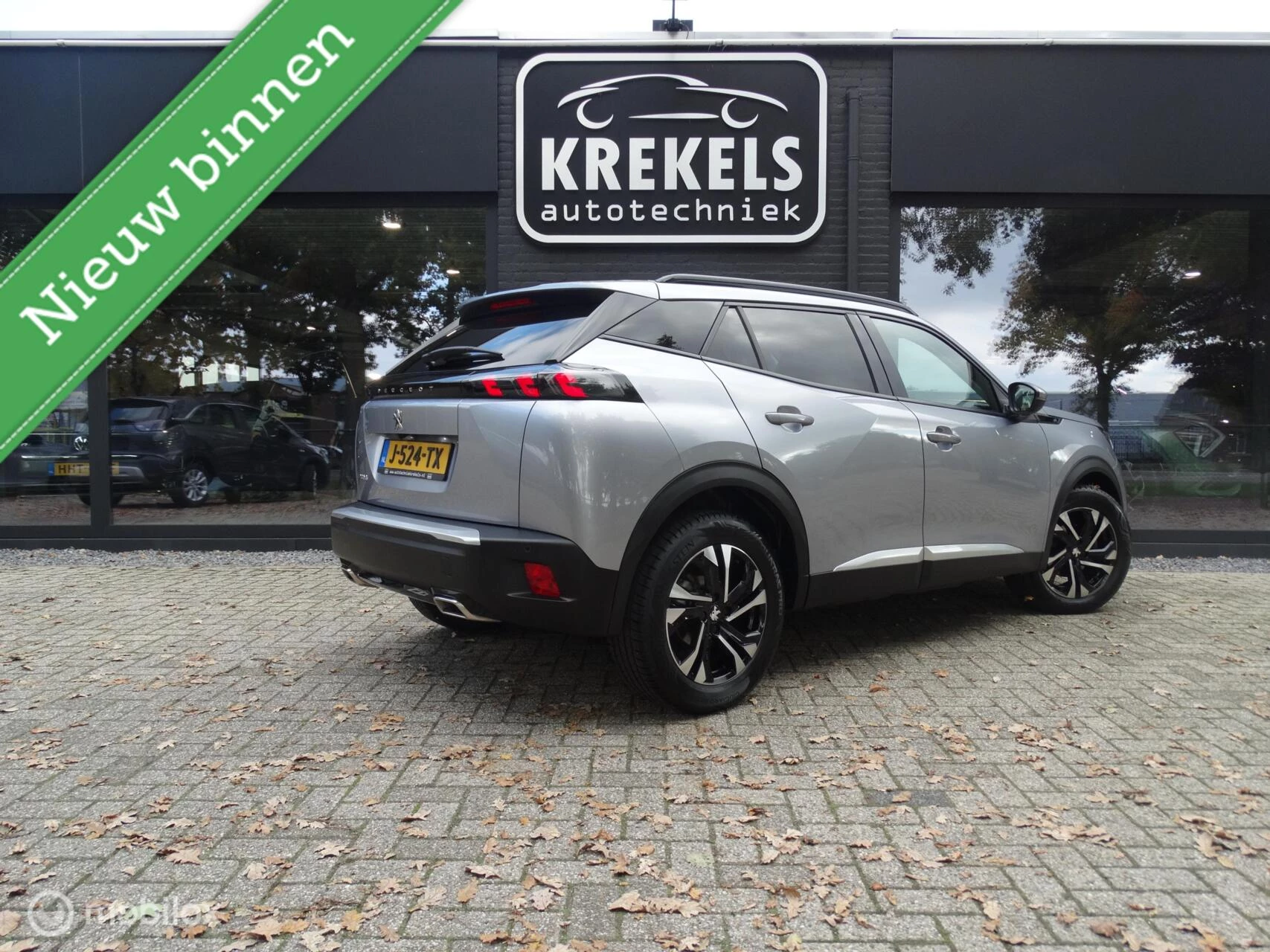 Hoofdafbeelding Peugeot 2008