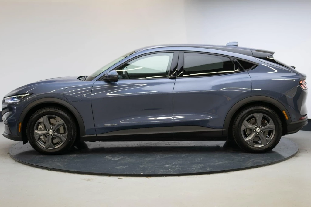 Hoofdafbeelding Ford Mustang Mach-E