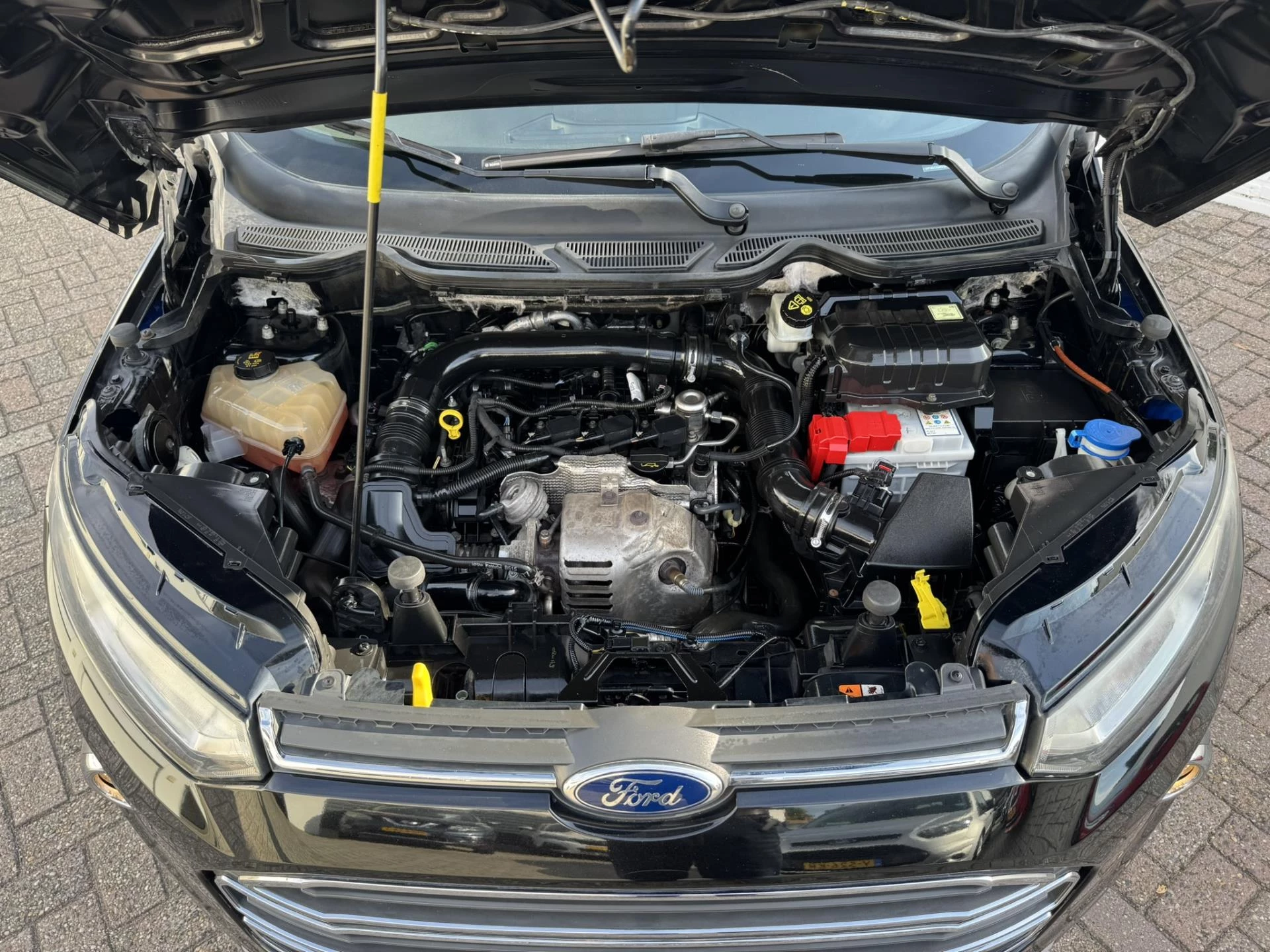 Hoofdafbeelding Ford EcoSport
