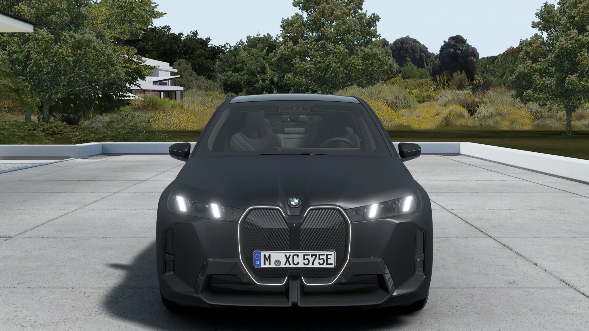 Hoofdafbeelding BMW iX