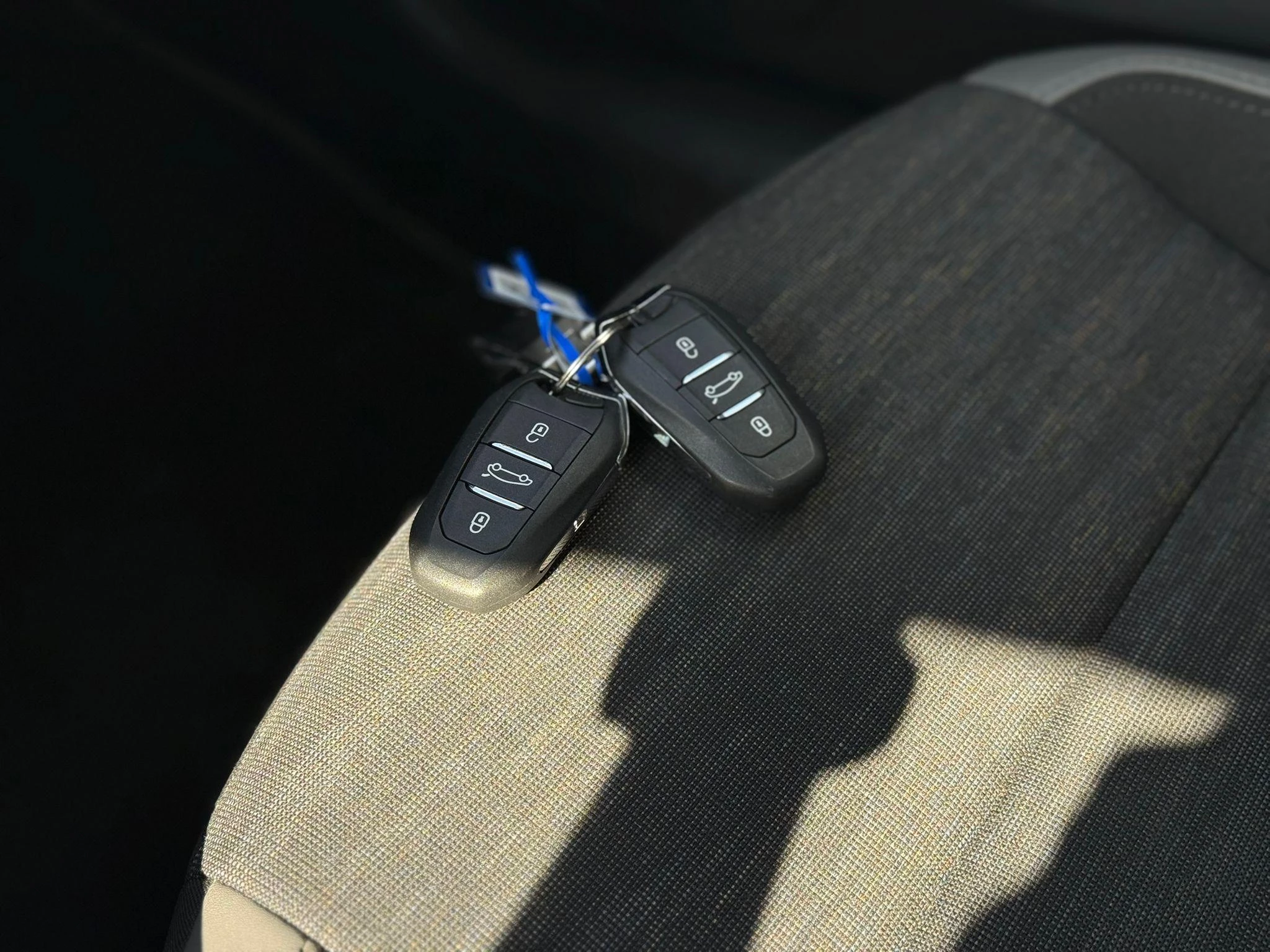 Hoofdafbeelding Jeep Avenger