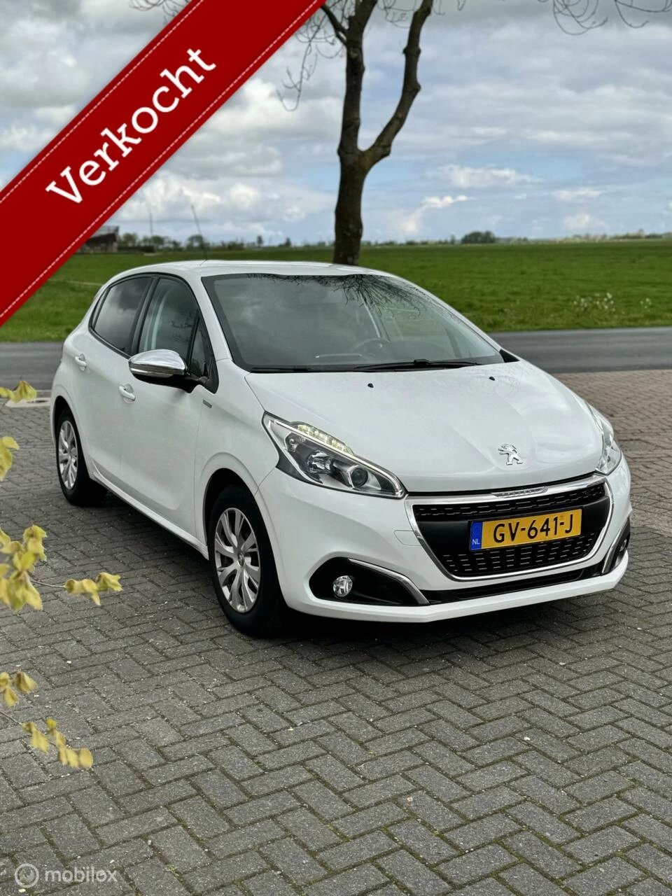 Hoofdafbeelding Peugeot 208