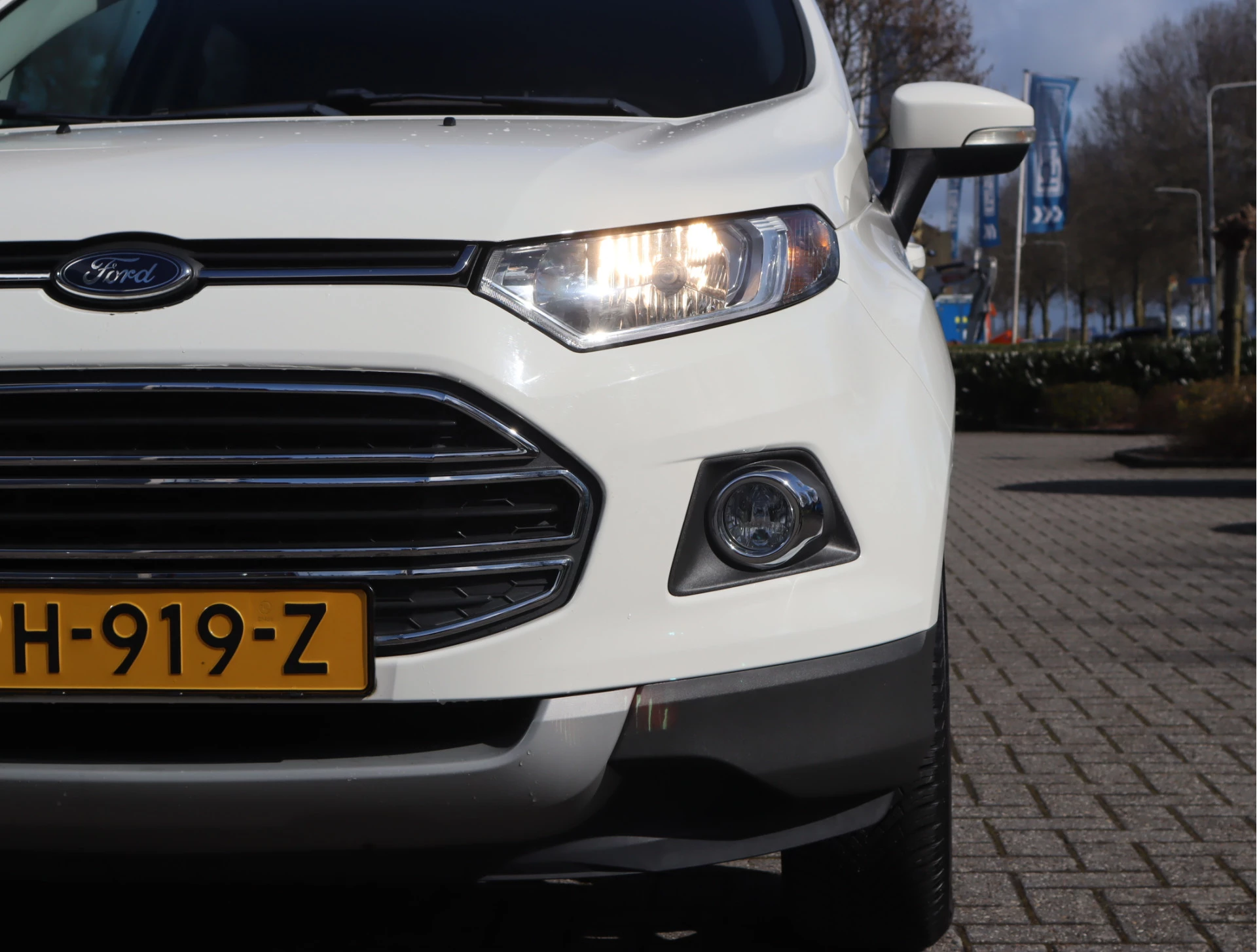 Hoofdafbeelding Ford EcoSport