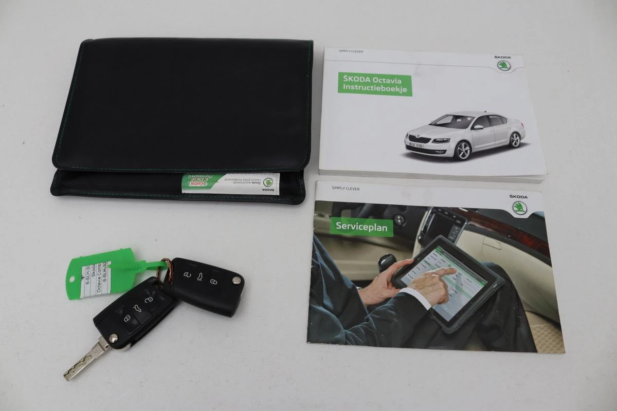 Hoofdafbeelding Škoda Octavia