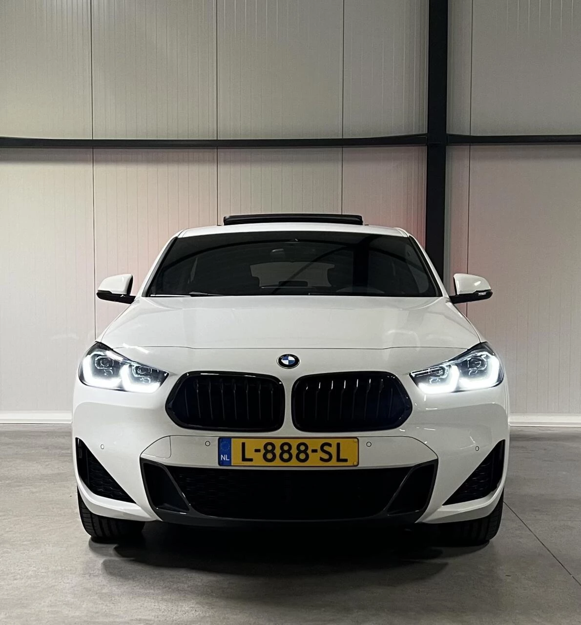 Hoofdafbeelding BMW X2