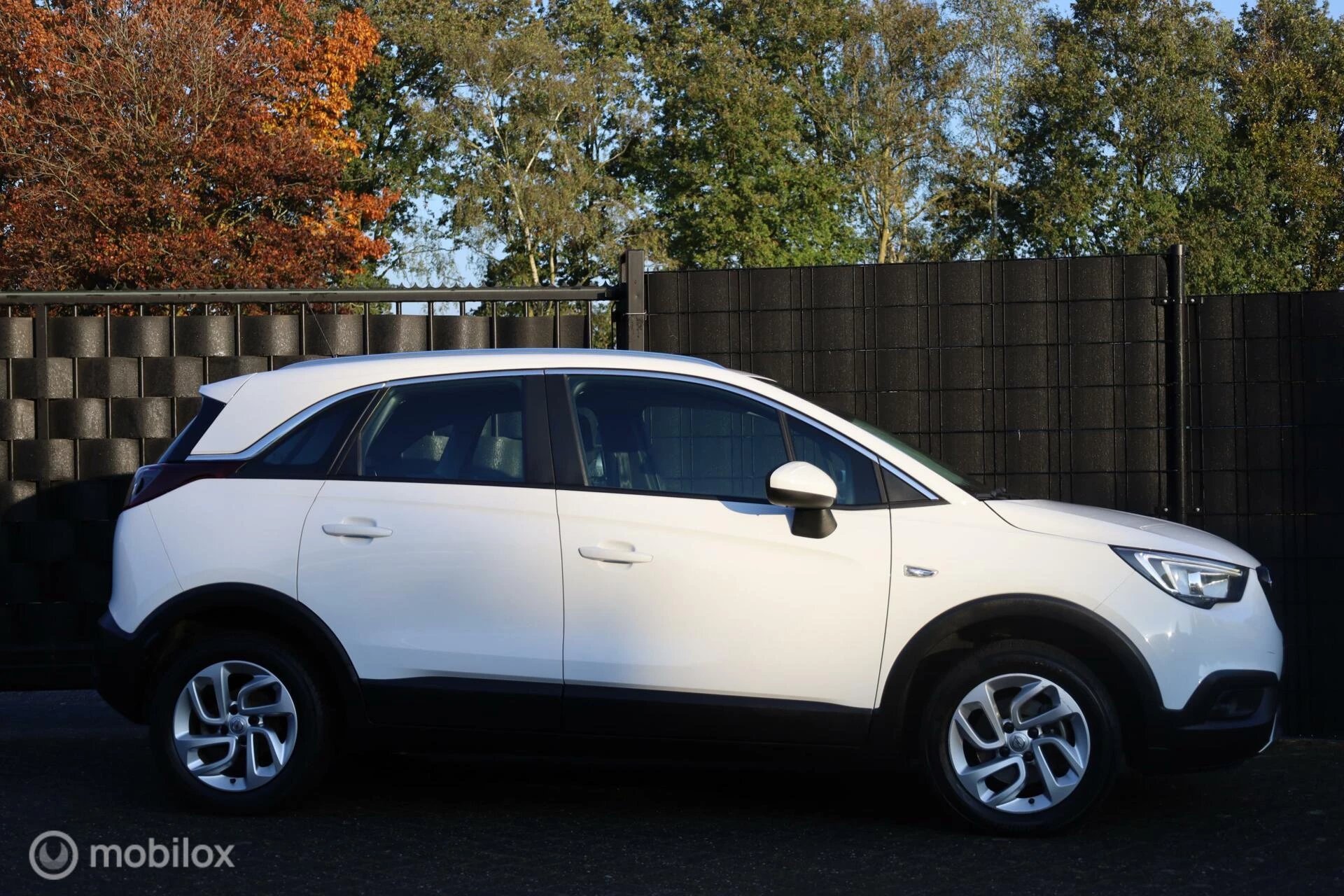 Hoofdafbeelding Opel Crossland X