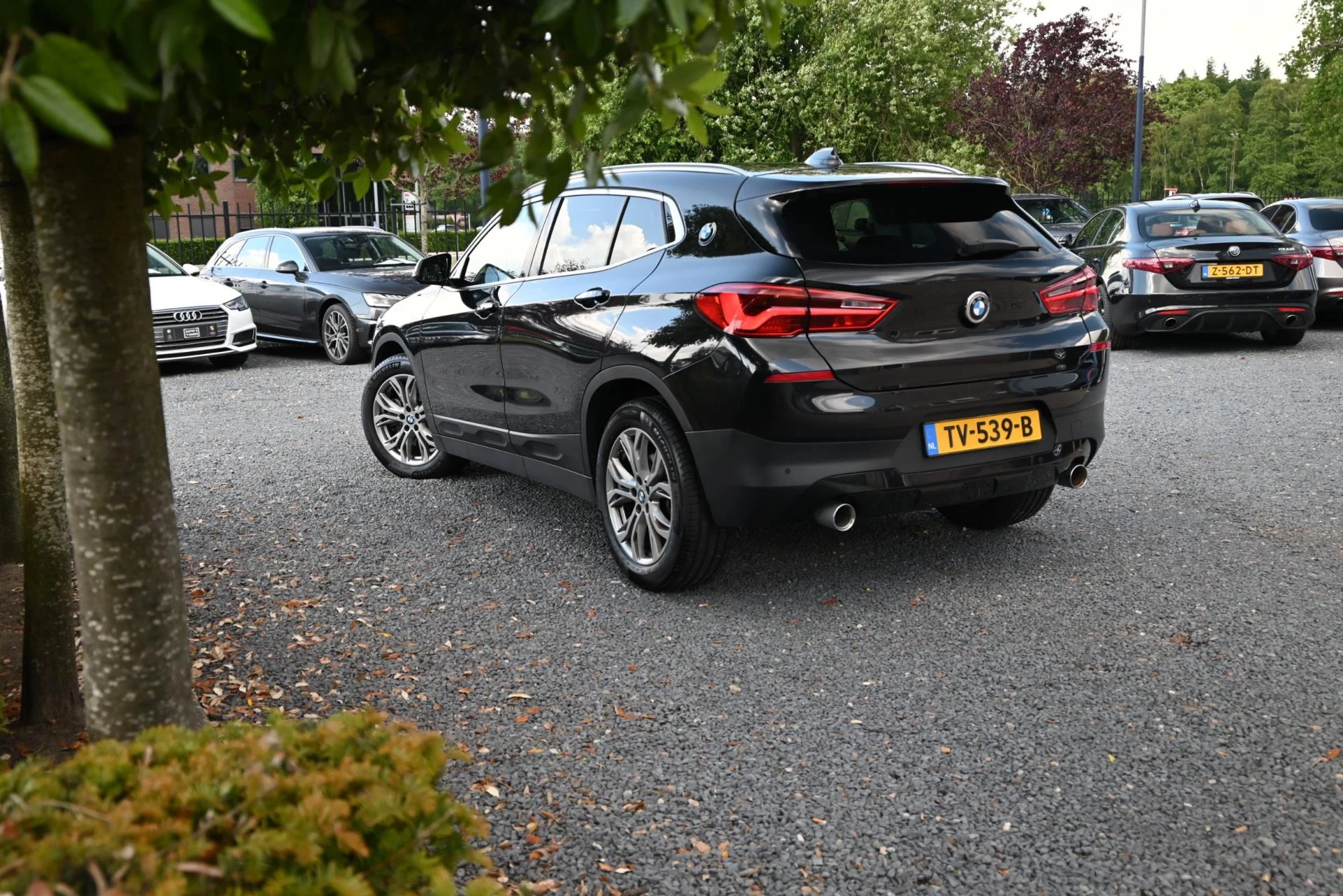 Hoofdafbeelding BMW X2