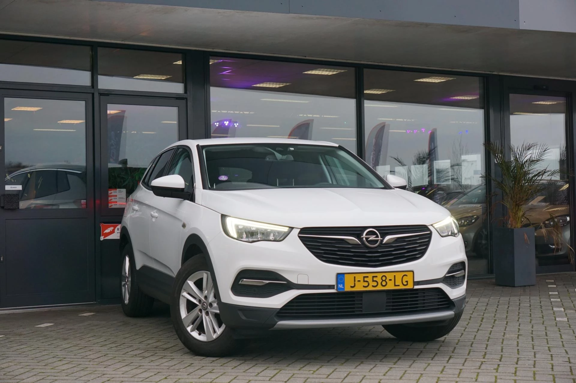 Hoofdafbeelding Opel Grandland X