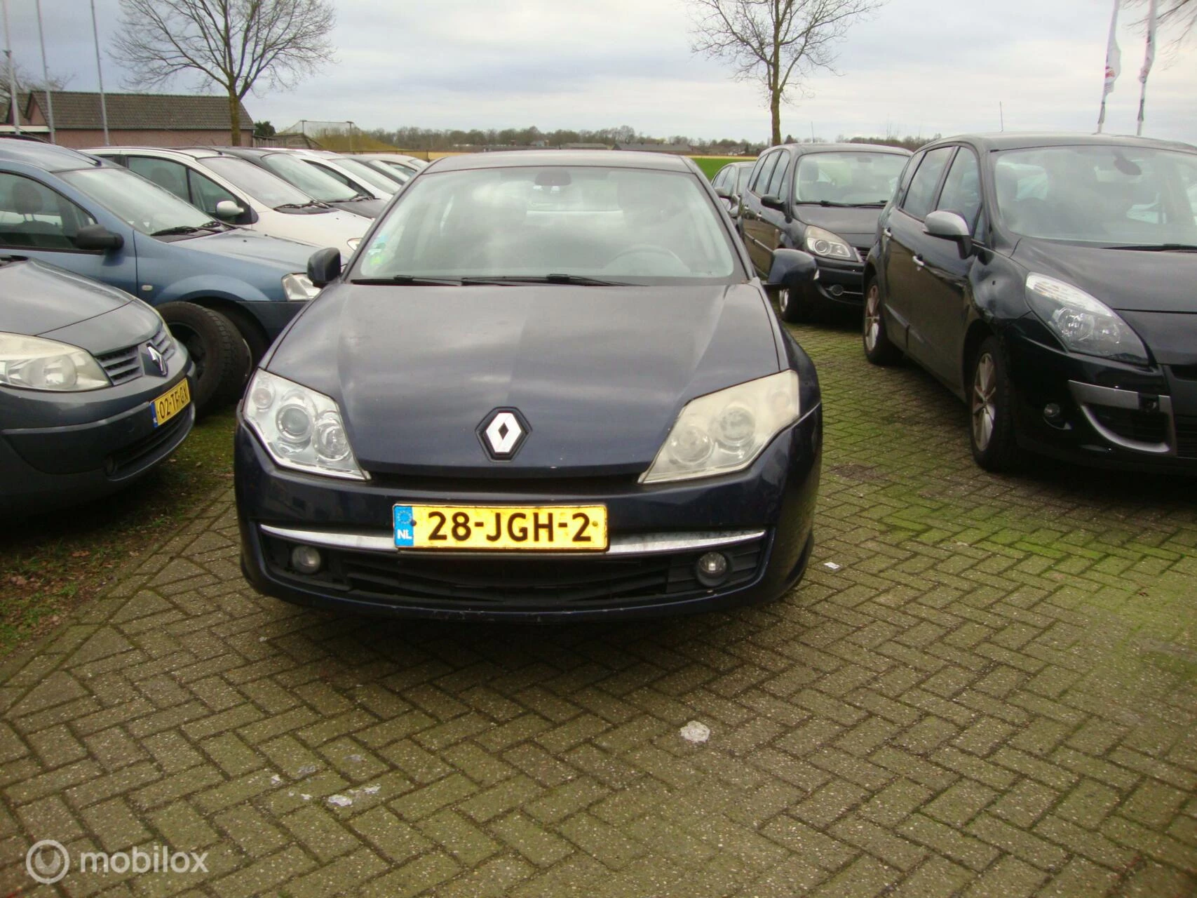 Hoofdafbeelding Renault Laguna