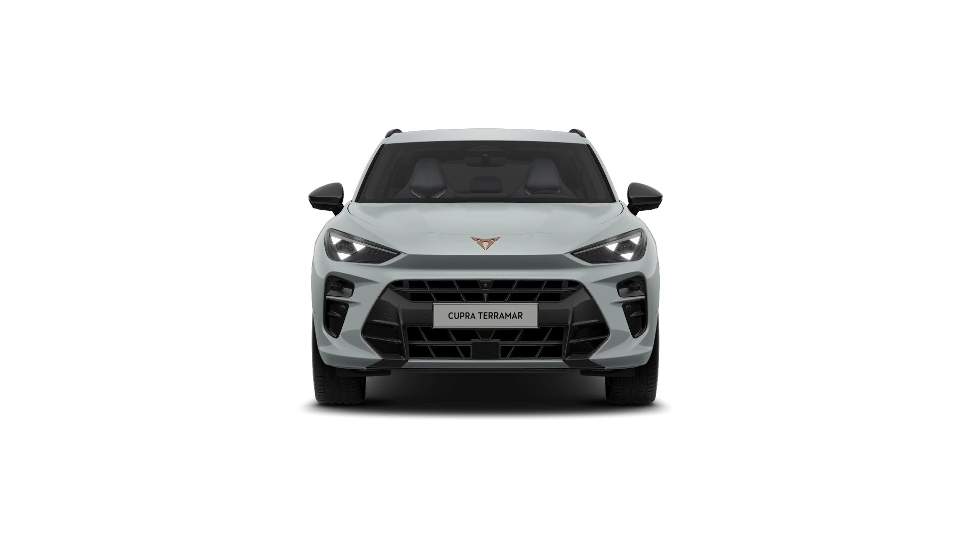 Hoofdafbeelding CUPRA Terramar