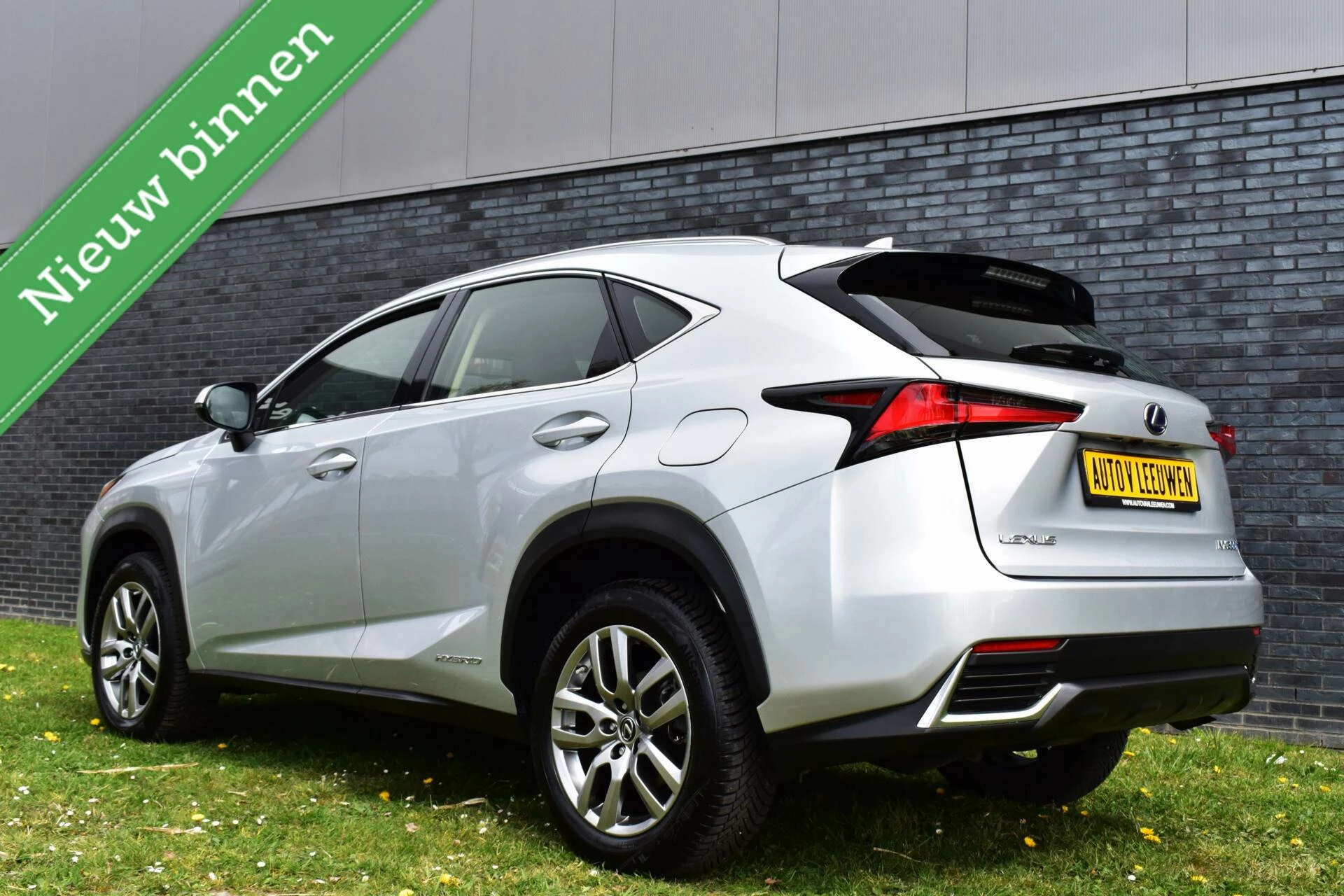 Hoofdafbeelding Lexus NX