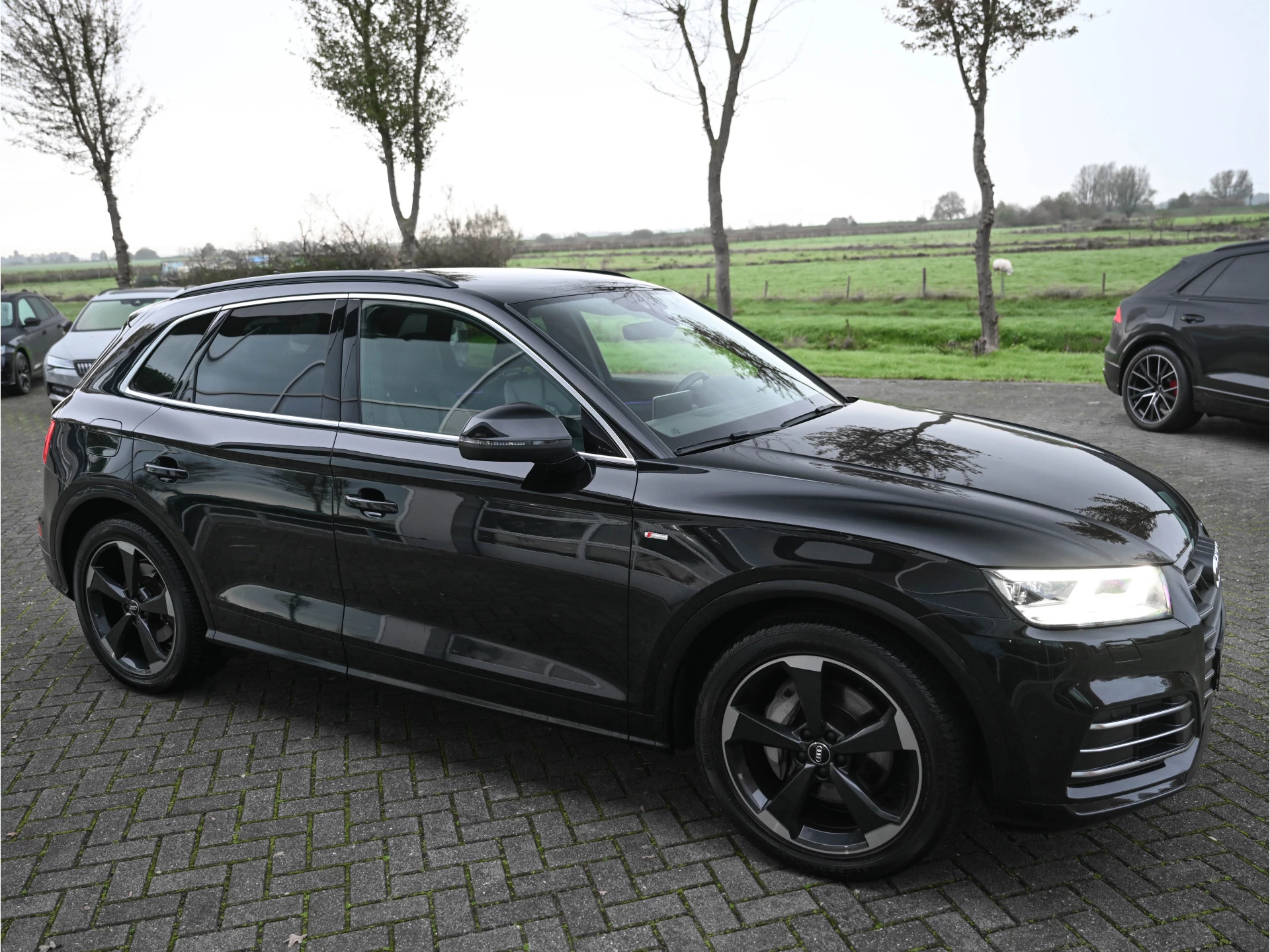 Hoofdafbeelding Audi Q5