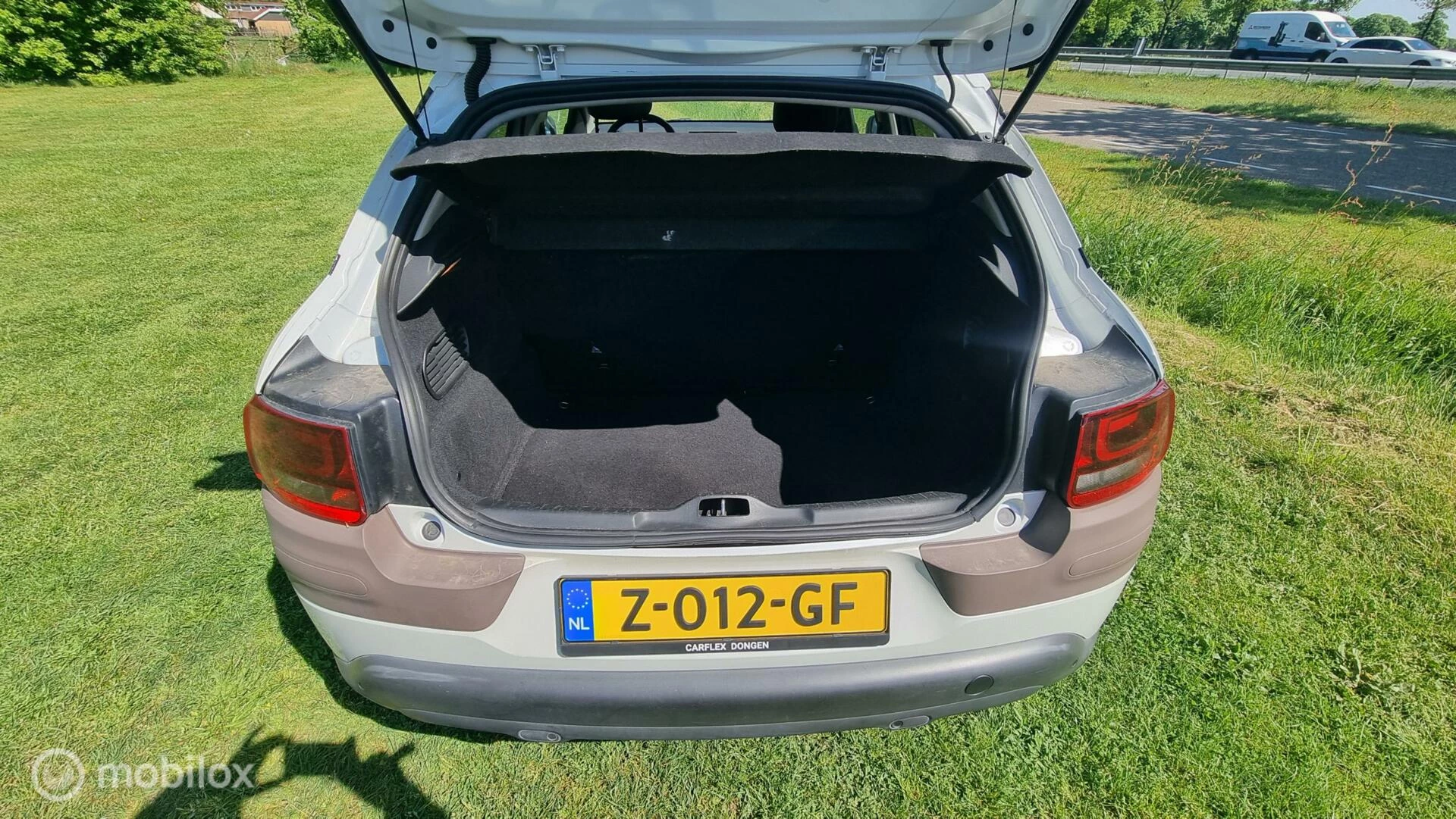 Hoofdafbeelding Citroën C4 Cactus