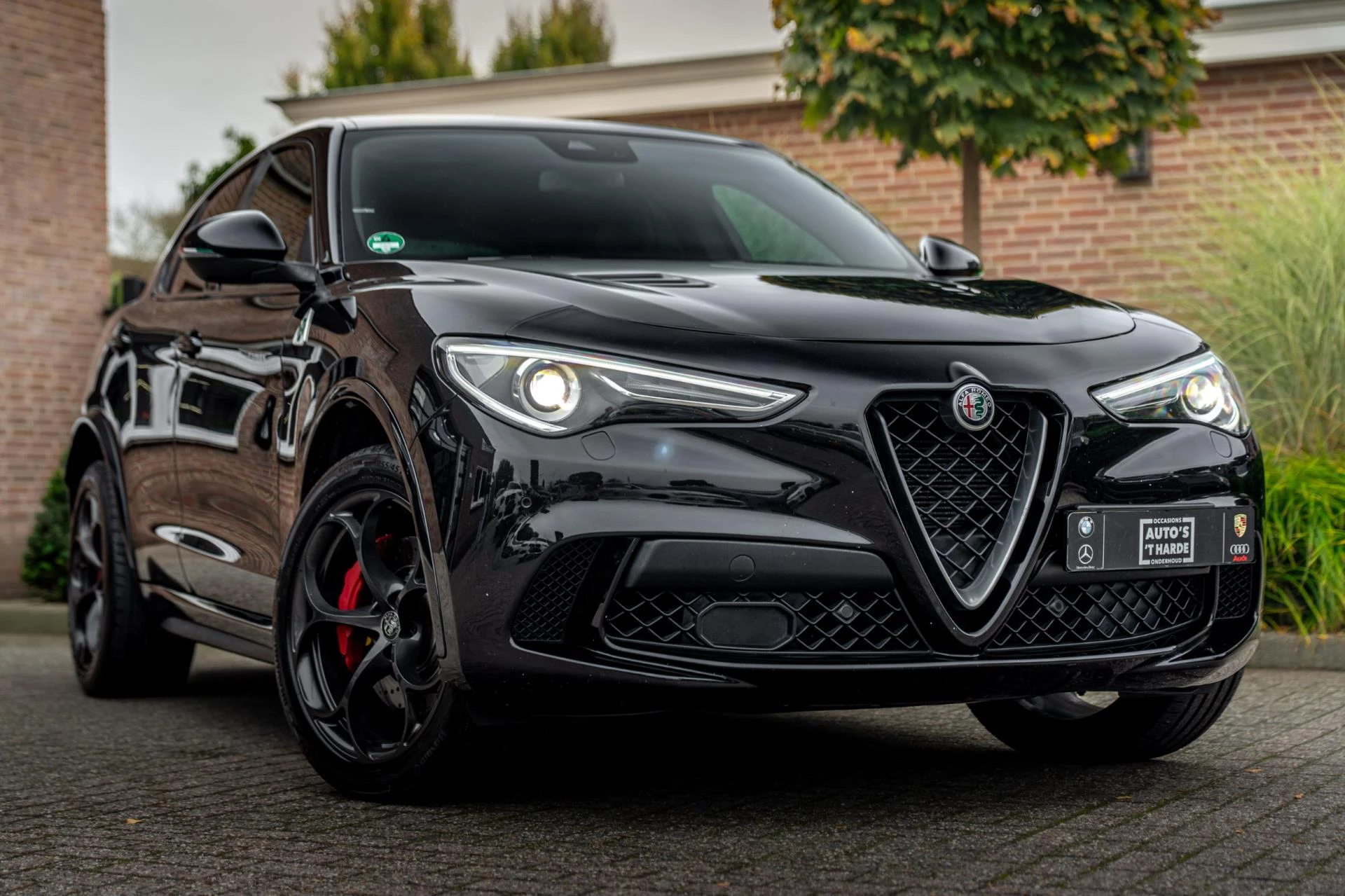 Hoofdafbeelding Alfa Romeo Stelvio